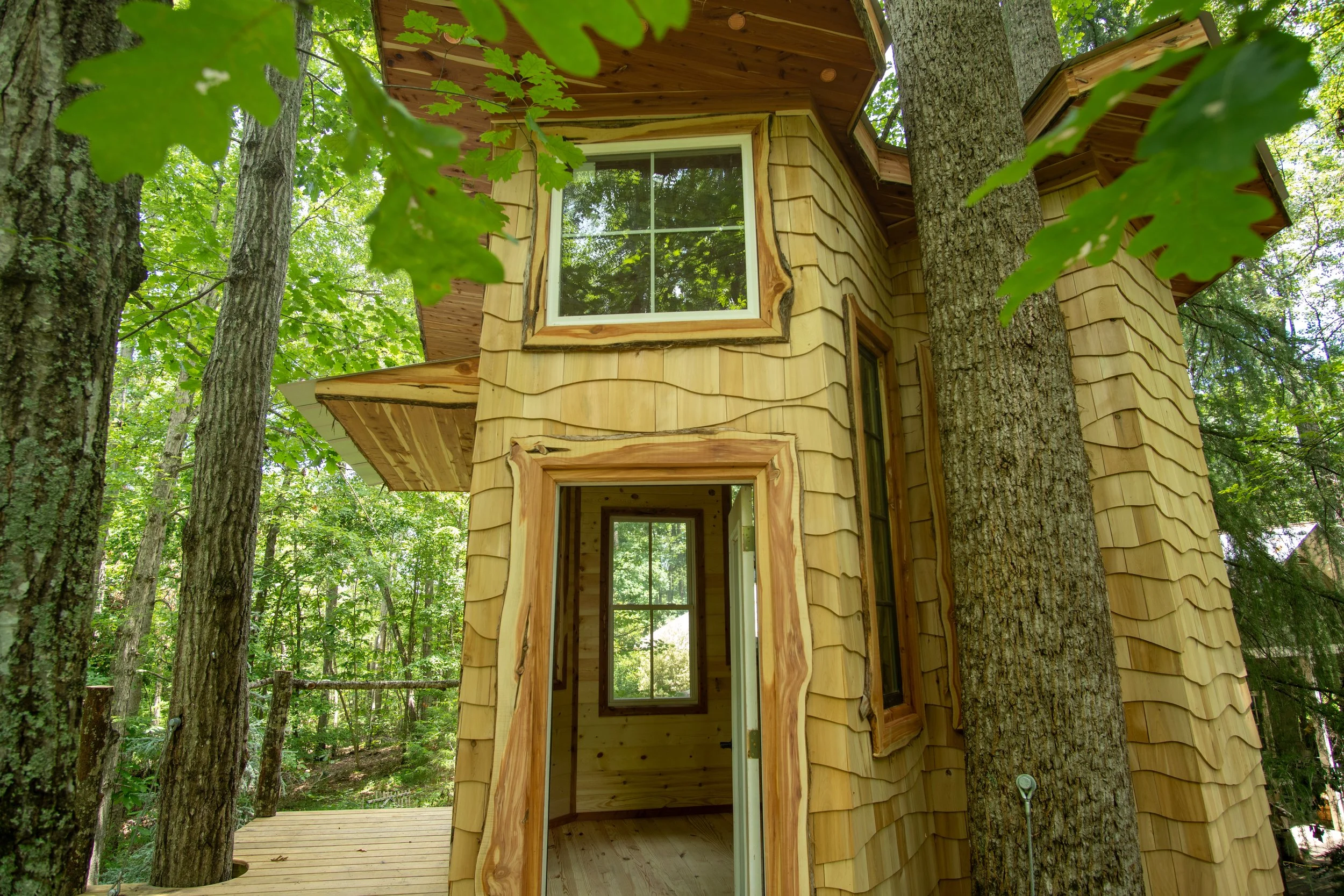 A wooden treehouse built among tall trees in a dense forest, featuring a doorway and multiple windows.