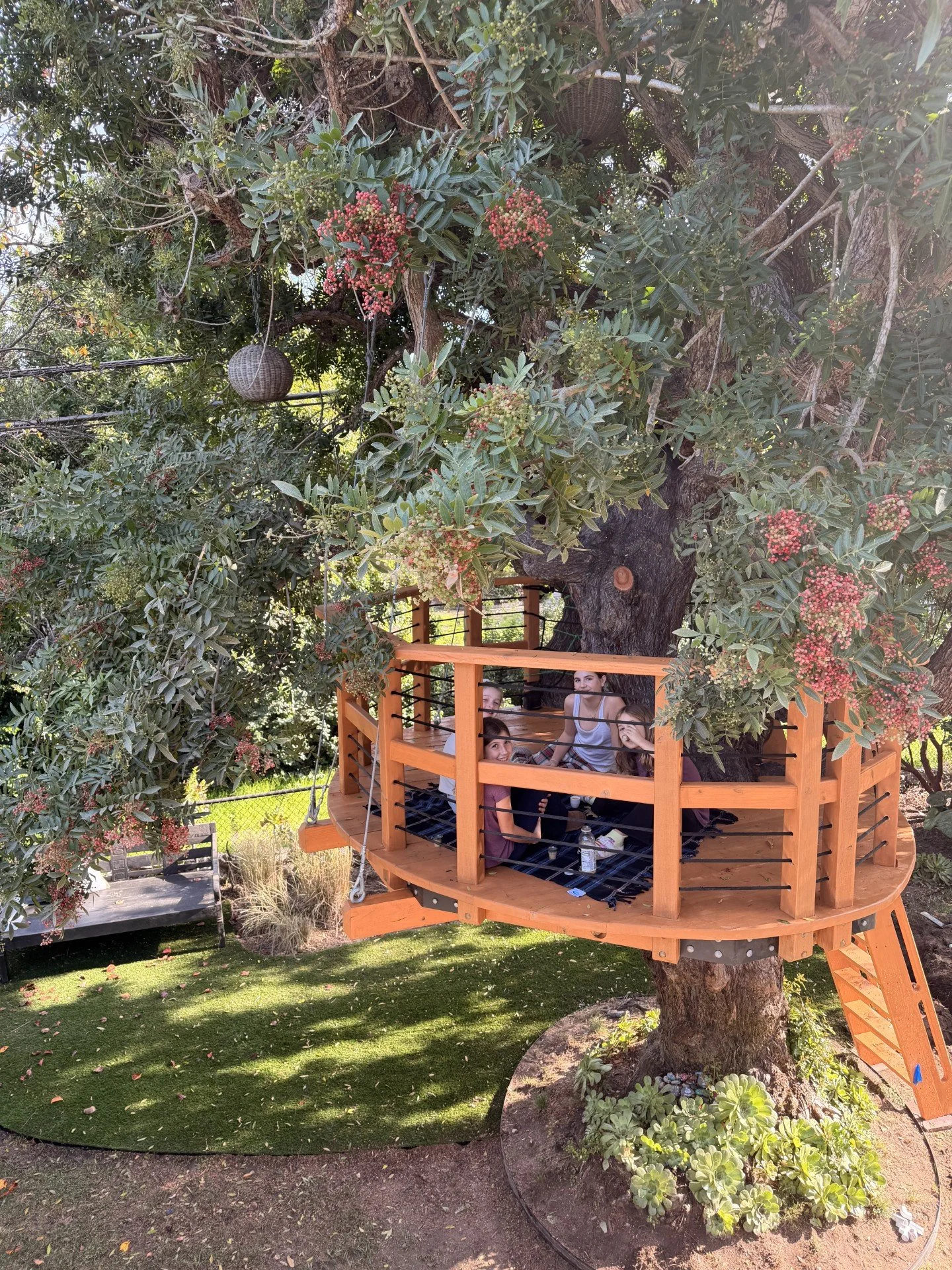 A group of people sitting in a wooden treehouse built around a large tree in a backyard.
