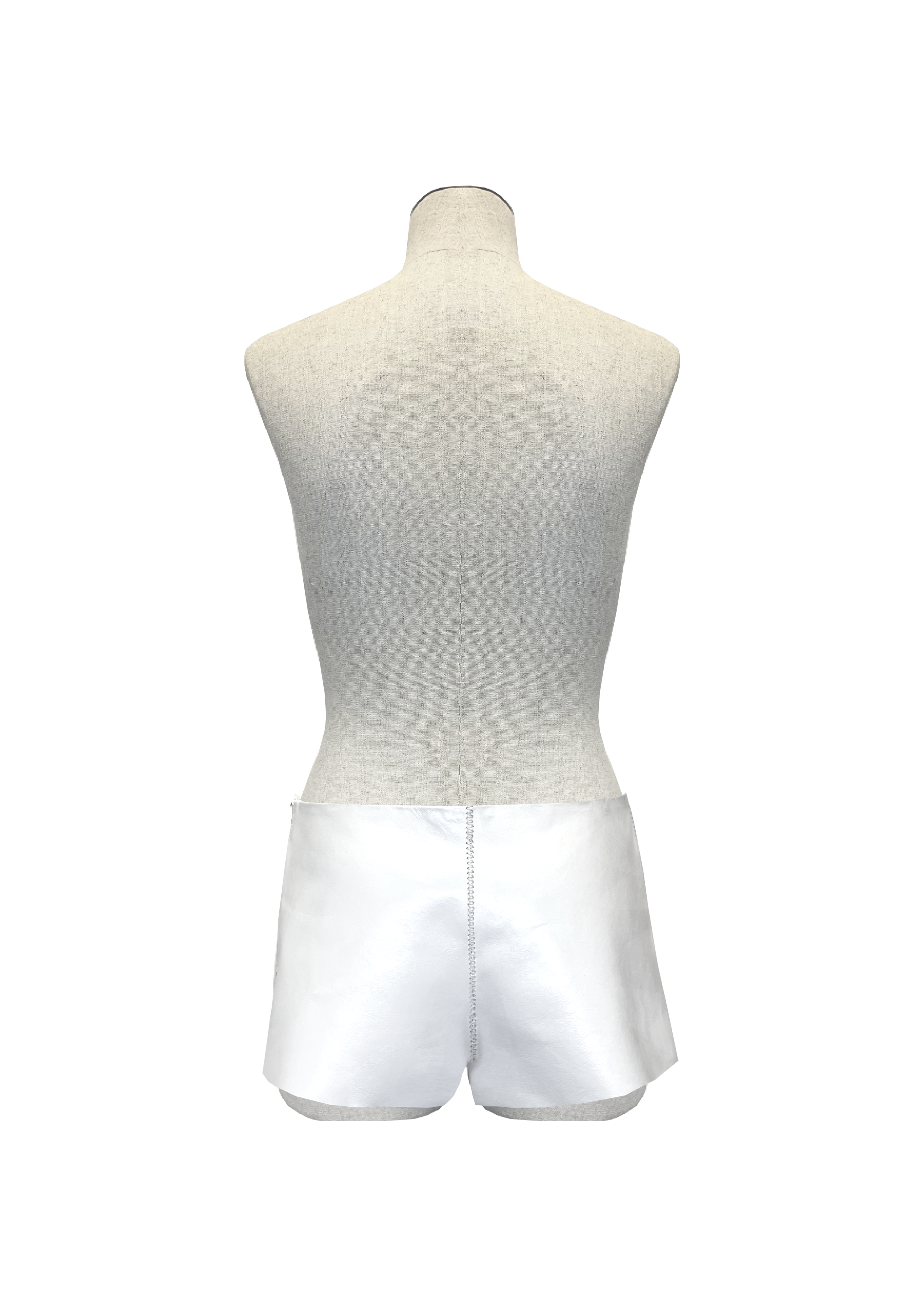 Back (1).png
