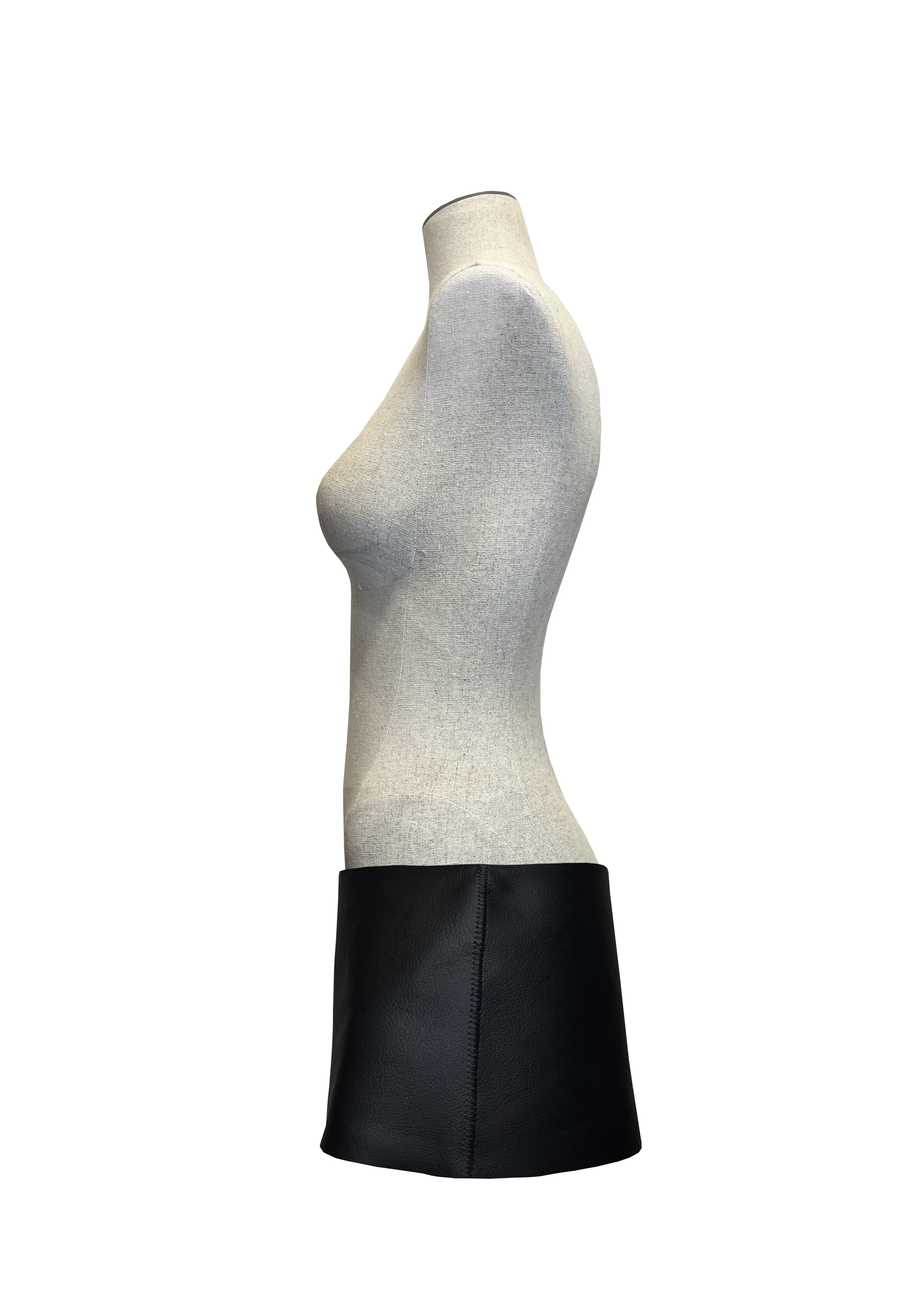 Stegman skirt (3).png