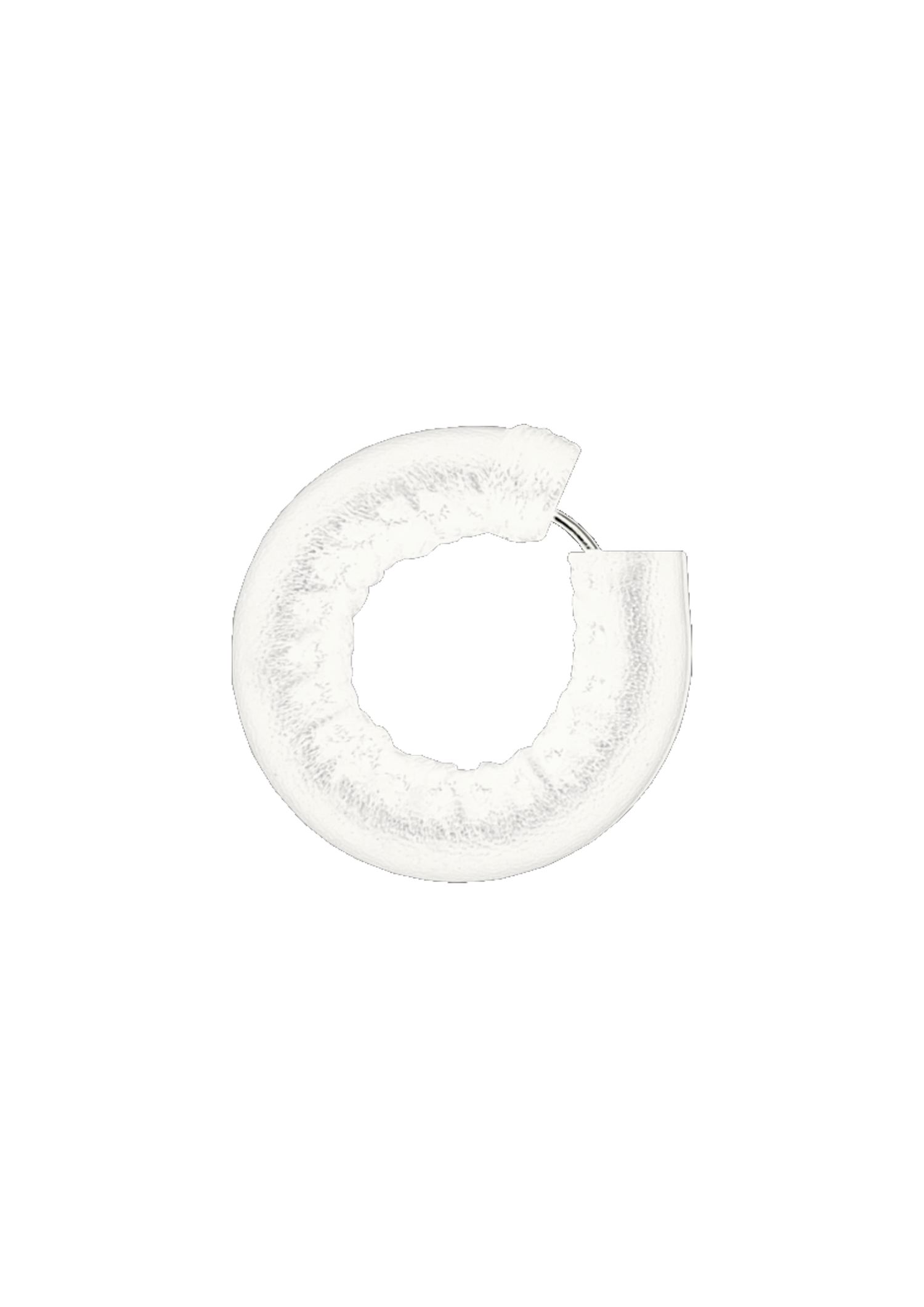 EARRING (1).png