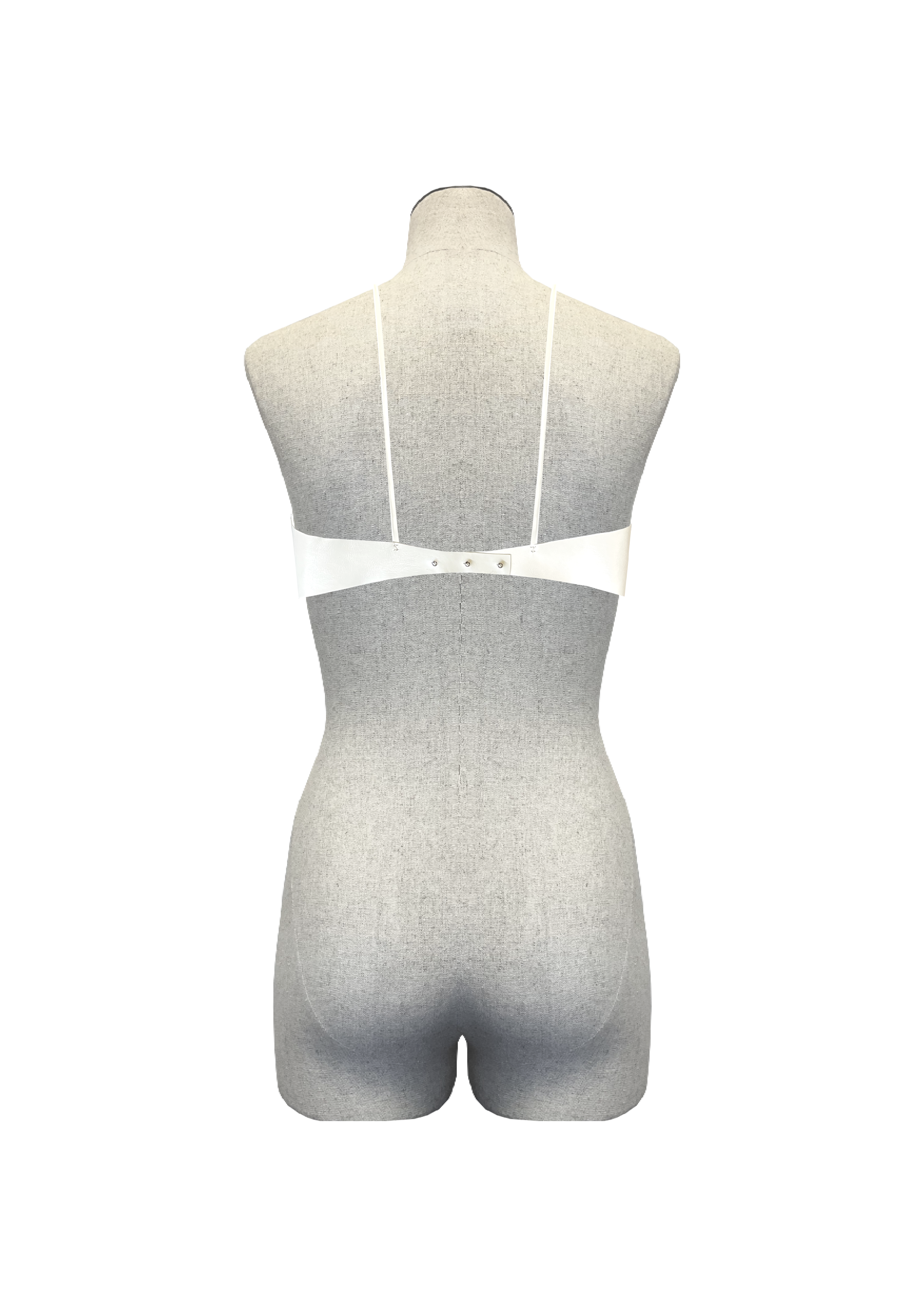 Back.png