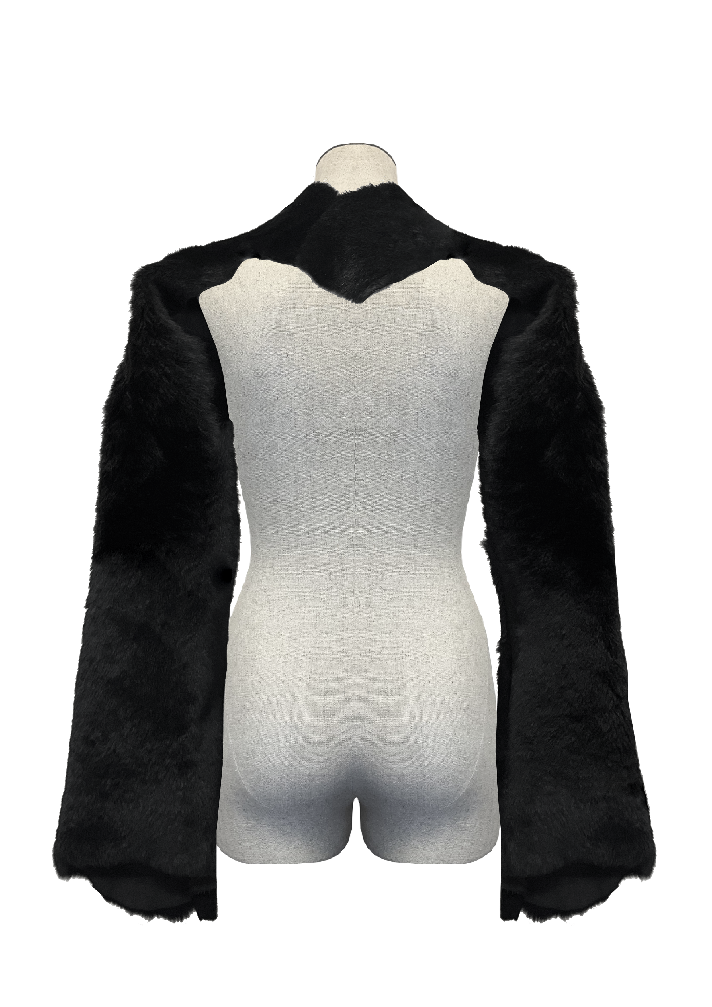 Back.png