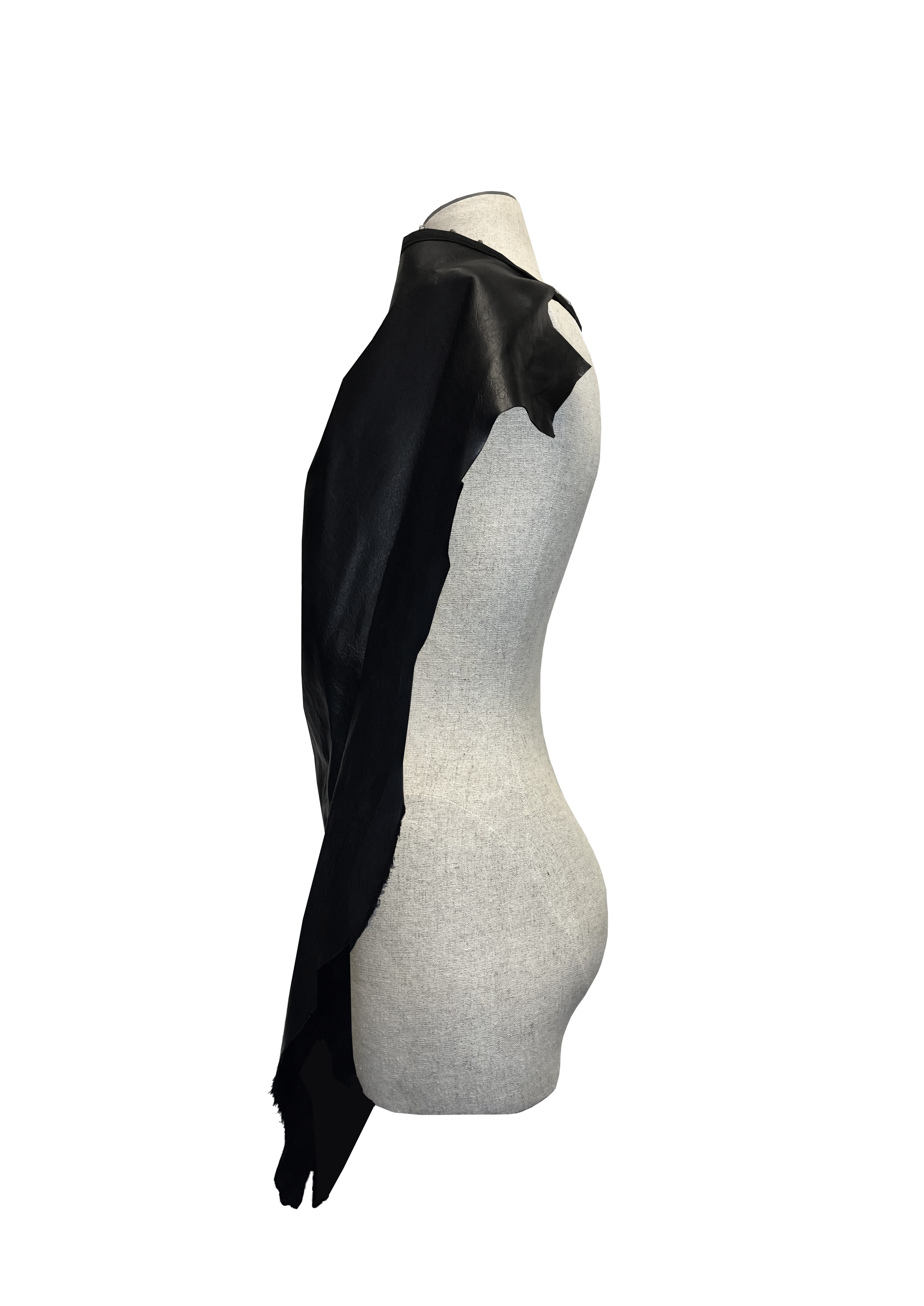 Rapture top (1).png
