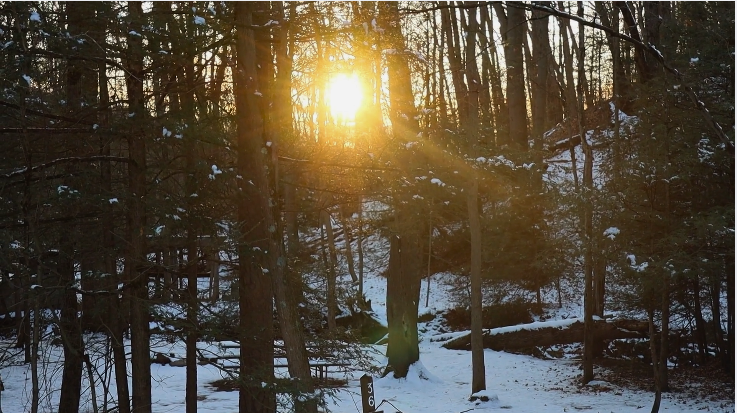 Advent Week Three: Joy