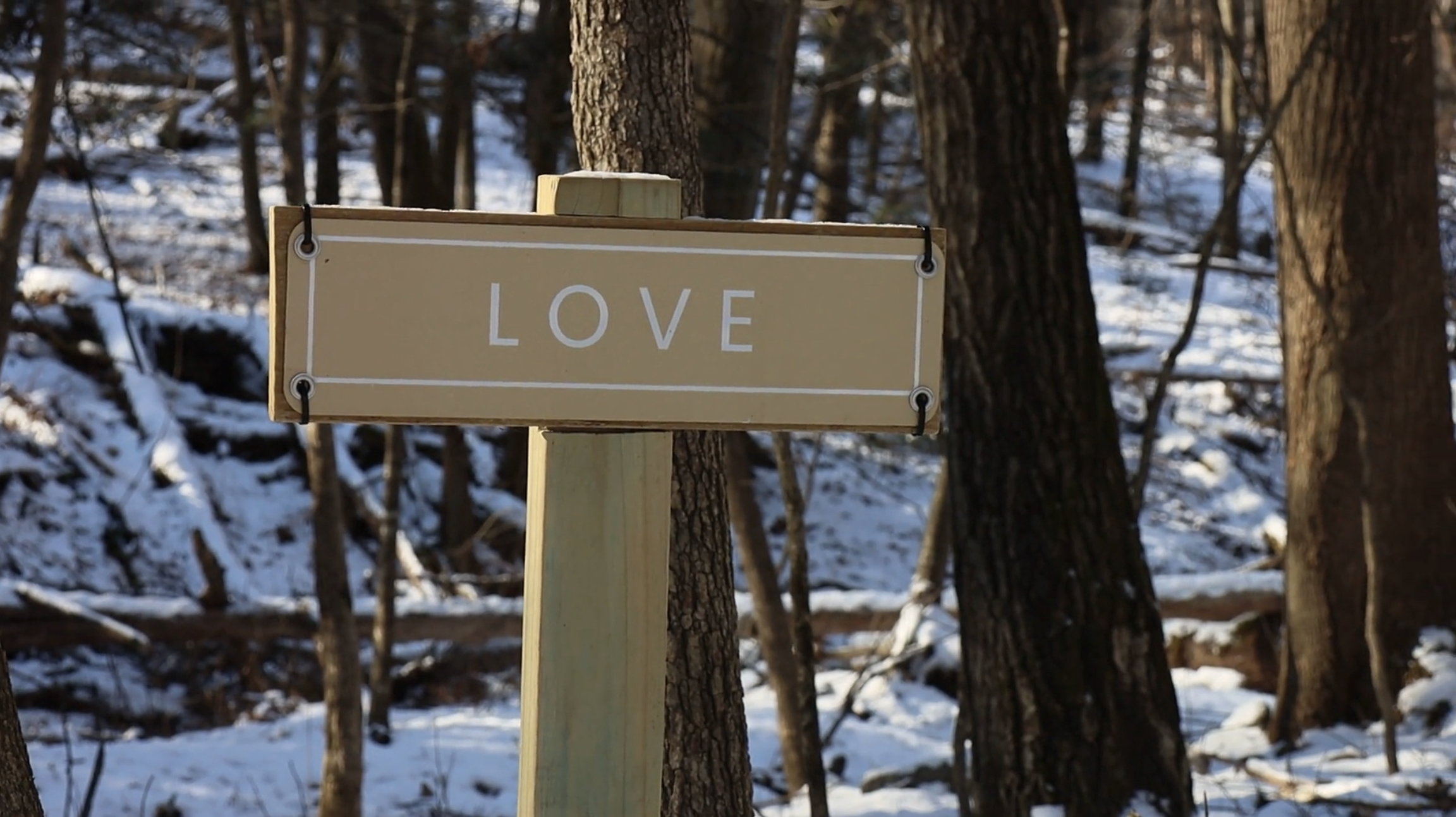Advent Week Four: Love