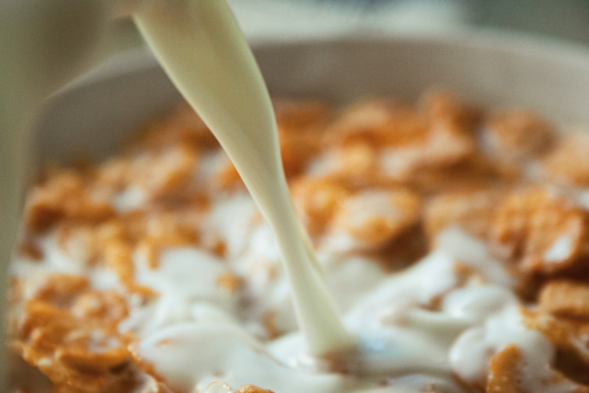 Our Famous Baked Oatmeal