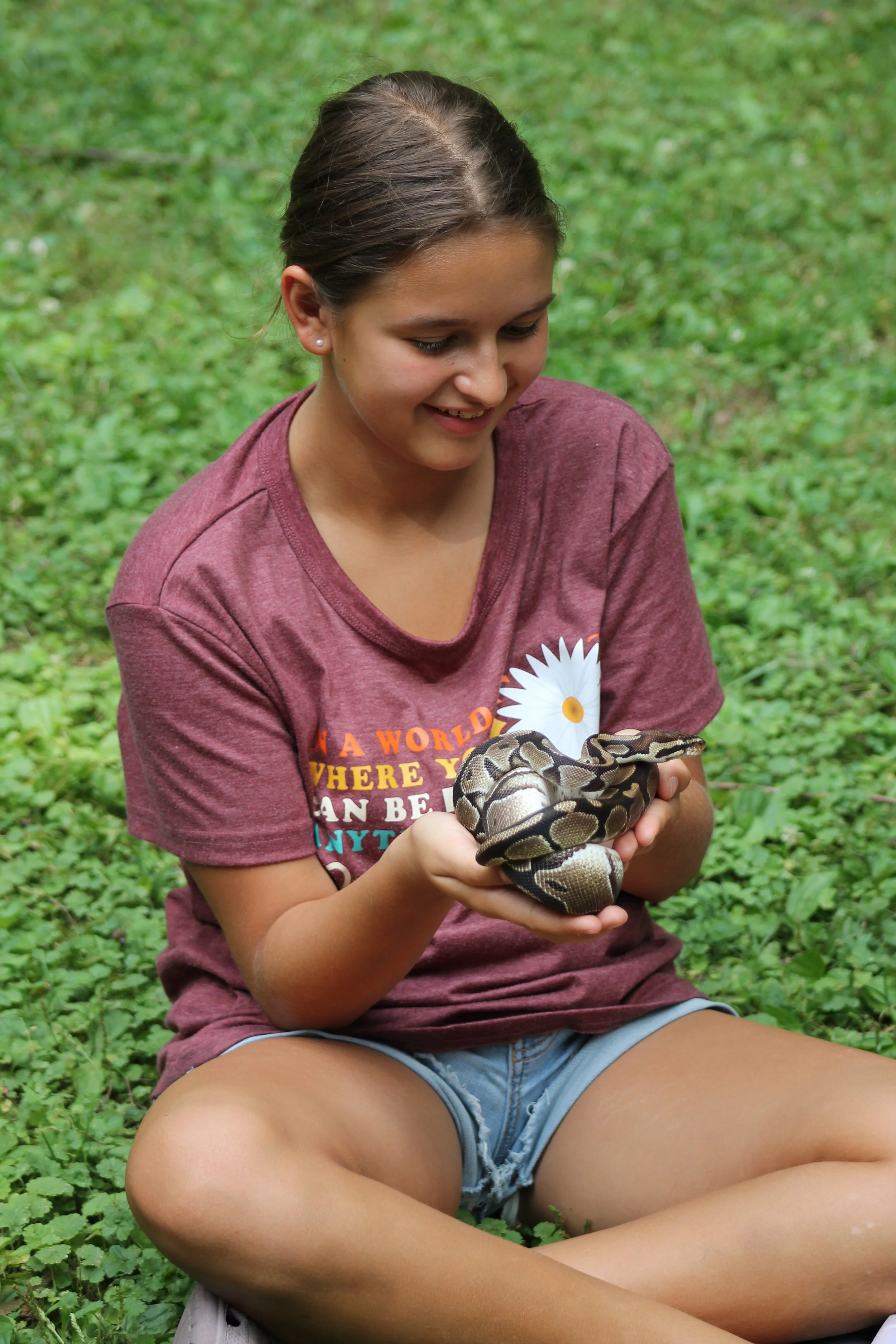 Nature Exploration