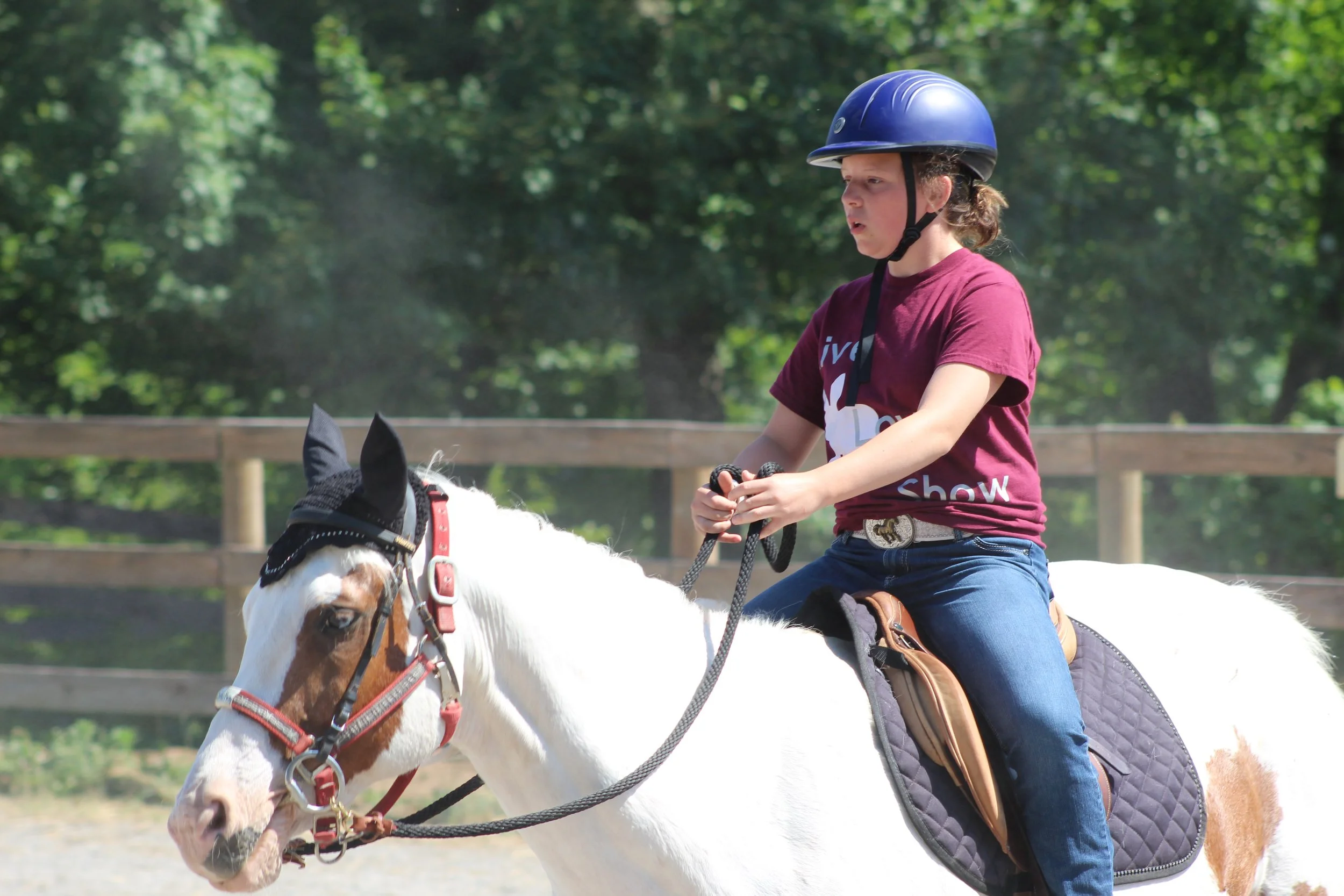 Meadowview Stables Spring Fun Show