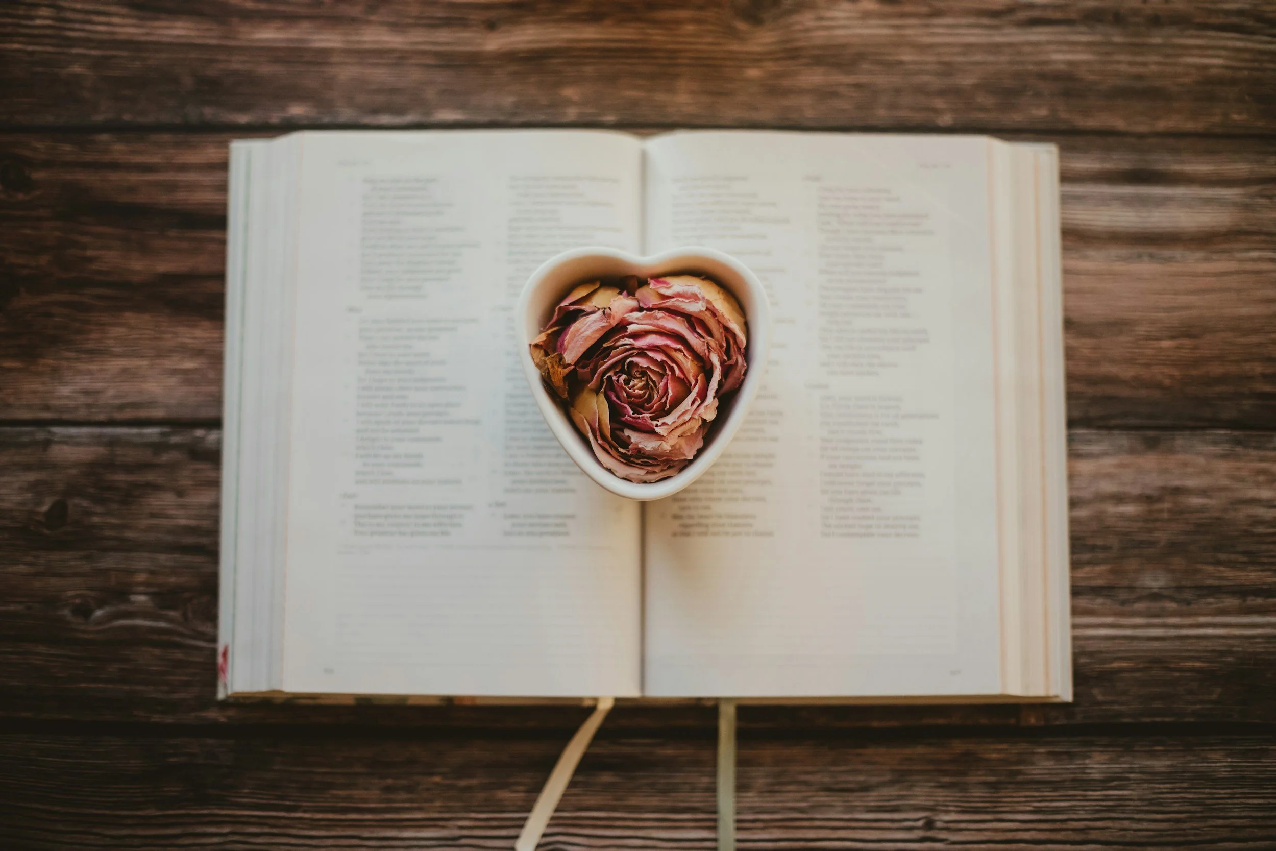 Bookstore Romance Day