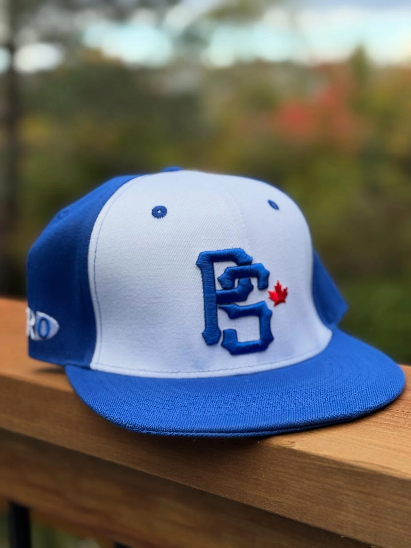 I knew the Jays were going deep early in the summer. So when @proskates reached out in July, we decided to do something Jays inspired for their Fall launch.  We landed on this absolute beauty and they're in stores juuuuust as the Jays head into the A