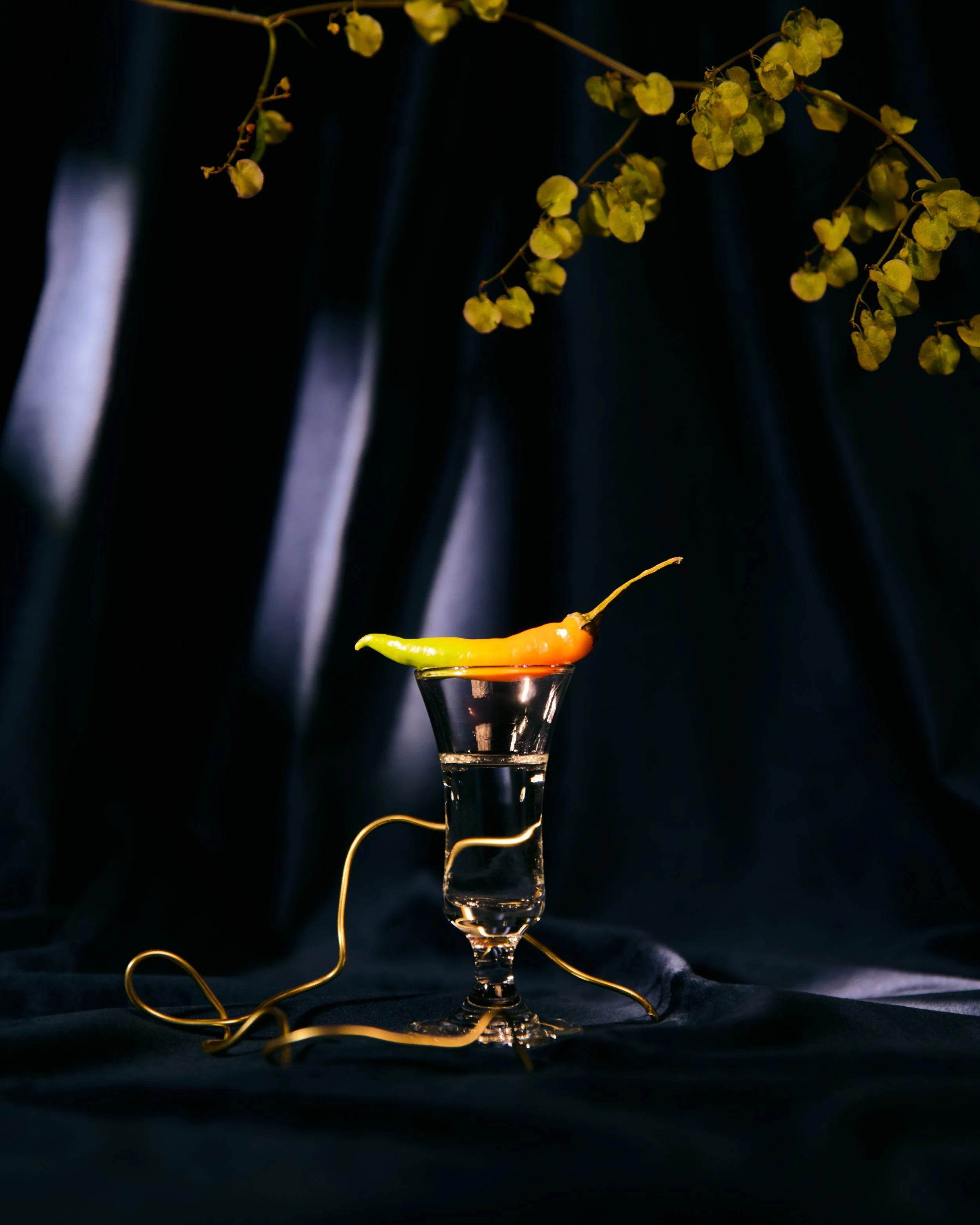 STILL_LIFE_11112414080.jpeg