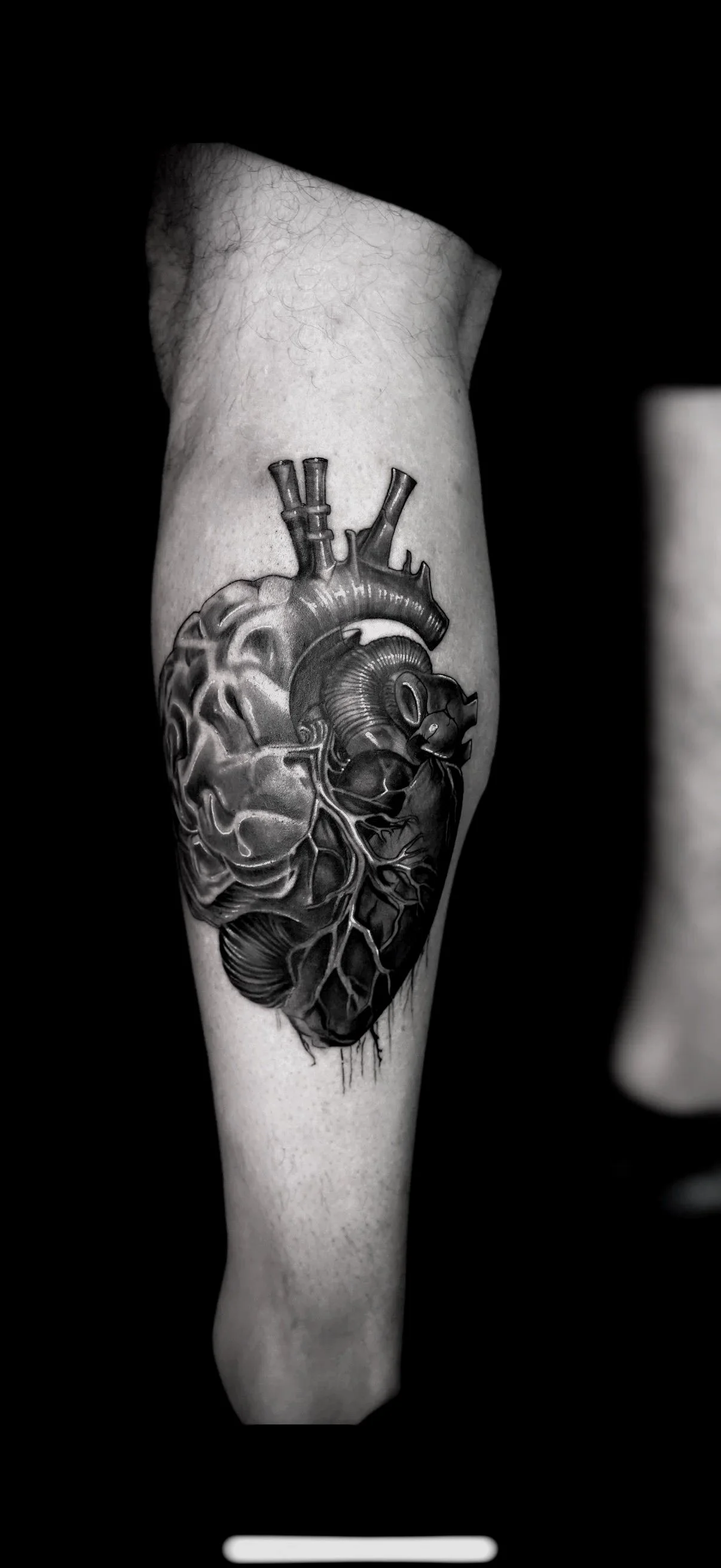 Anatomical Heart Brain Black and Grey Tattoo