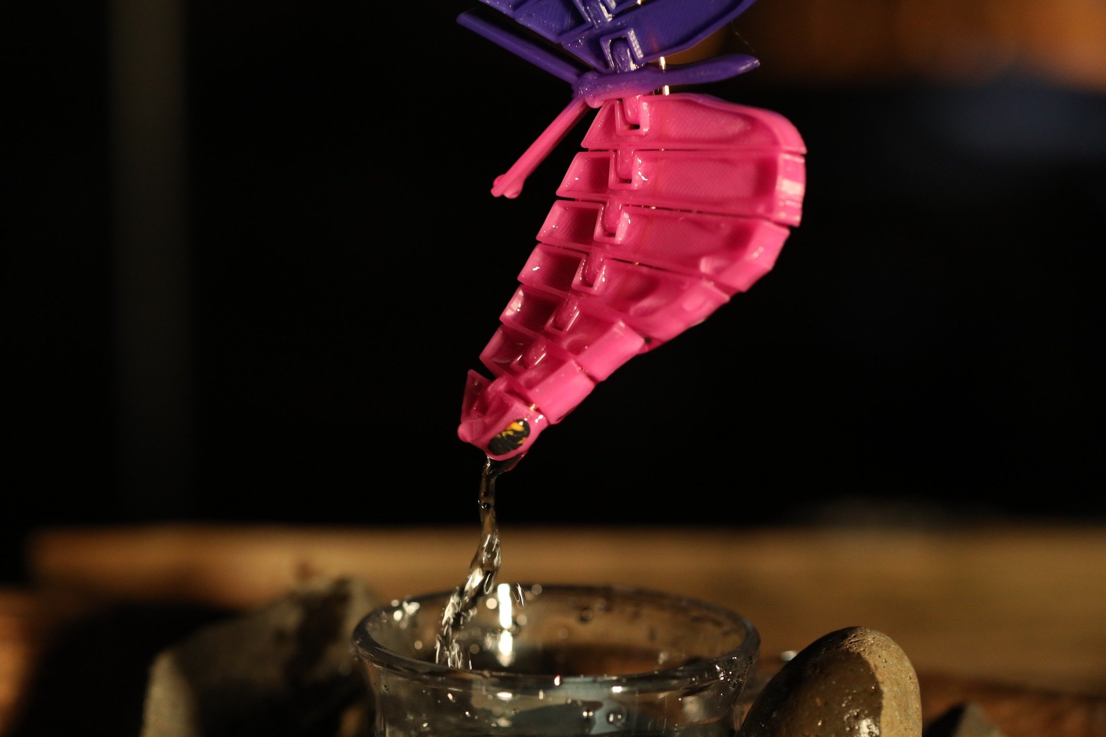 Dripping Butterflutter - Purple To Pink temperature color change

#butterfly #3d #3dprint #printing #pink #colorchange #purple #slow #canon5dmarkiv #fastshutter #frozen #water