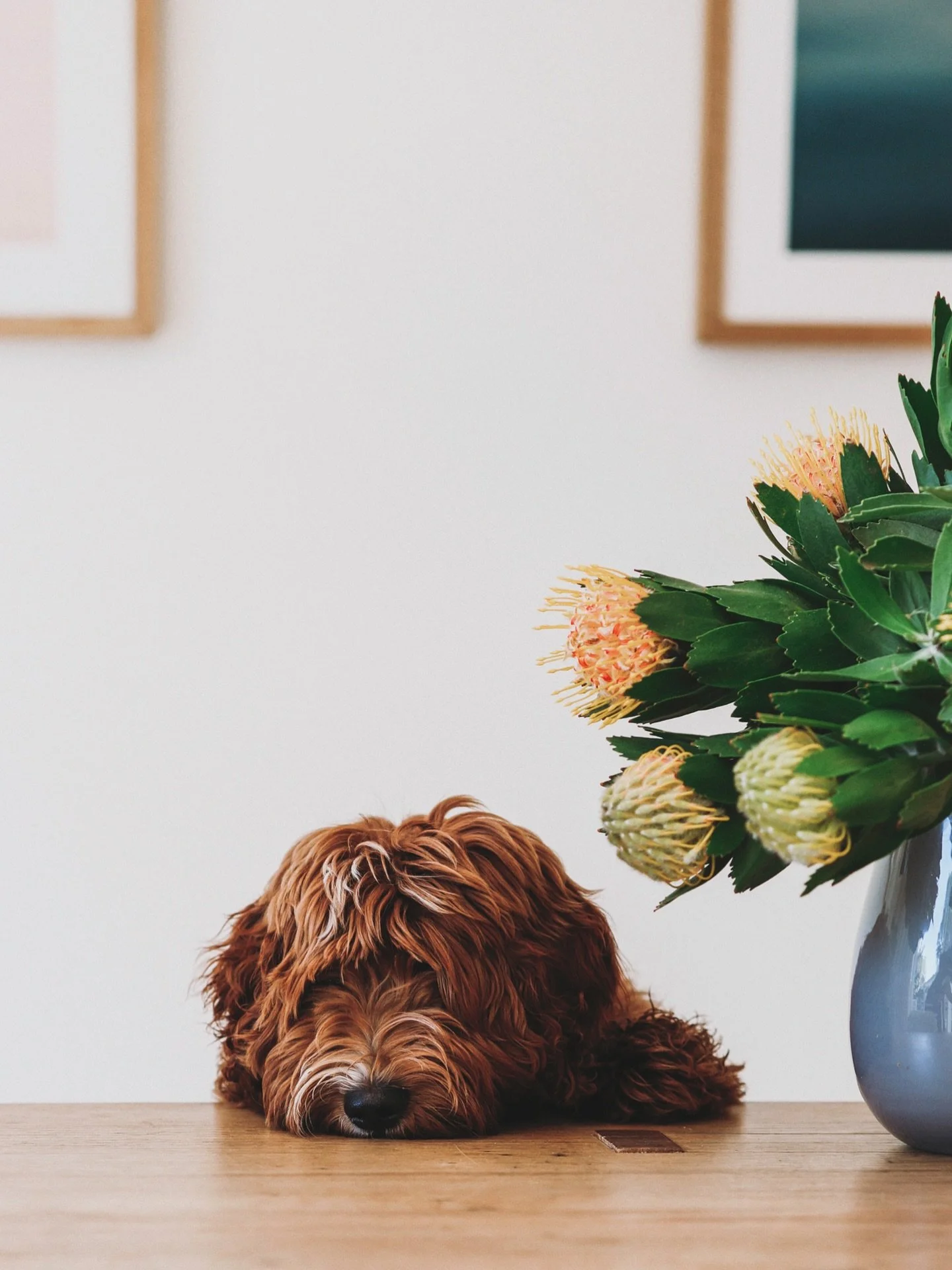 Gorgeous people!  If you would like to see my images on your instagram feed, please tap the three little dots&hellip; top right&hellip; and click add to favourites. 
I really love your support, encouragement and positive commentry 💜💜💜

Photo of Wo