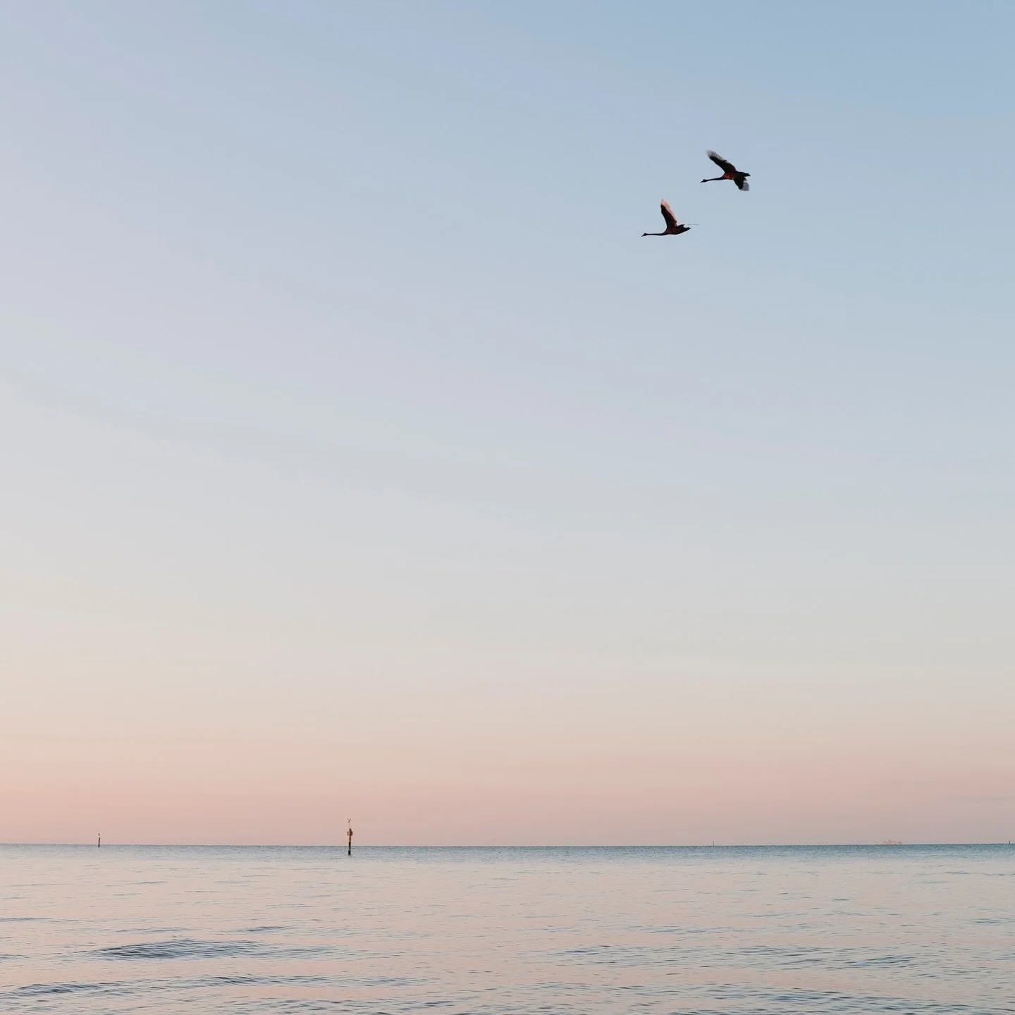 Sunrise at Sandy today.  Seems like the best time of day to be out!