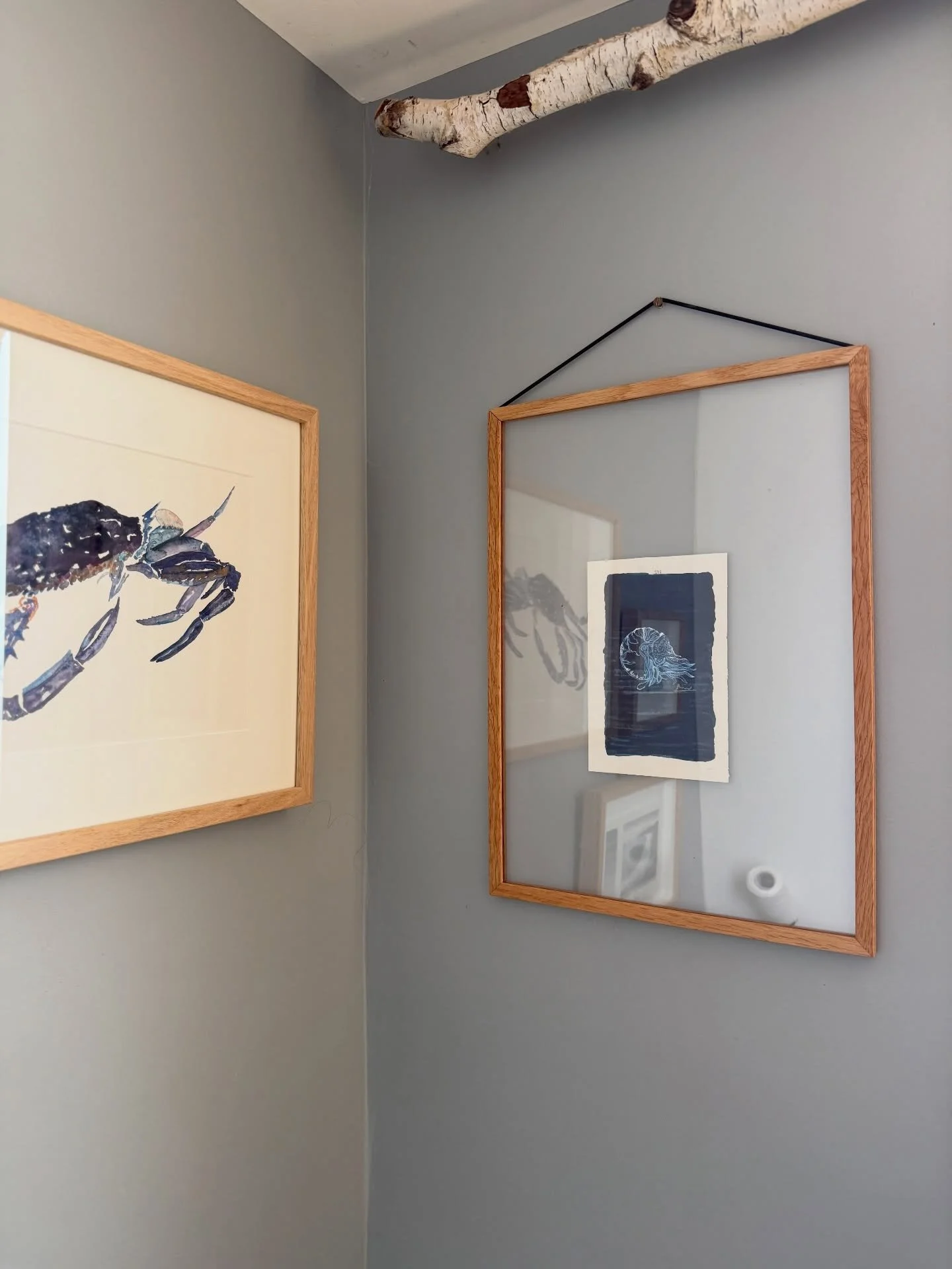 I fell in love with this nautilus shell artwork by gorgeous Shirley @endeavor_earth_designs and decided it needed an oversized frame to show it off. Now hung next to my other sea creatures. 

#nautilus #seacreatures #barefoot #artwork #luumoframe