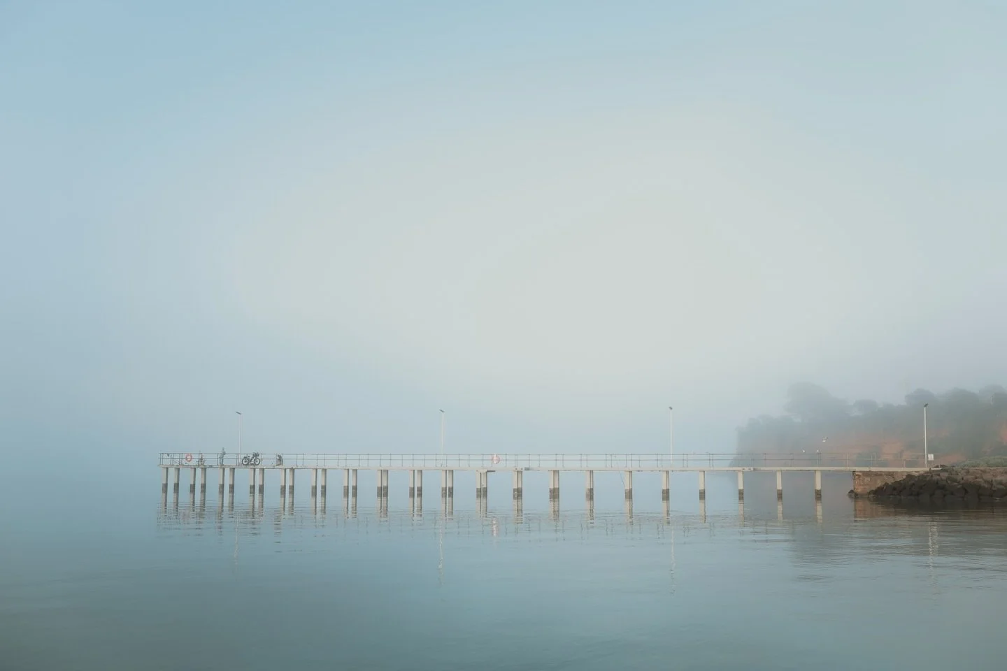Blurring the lines between a painting and photograph &hellip;. even when you see it up close.
💜