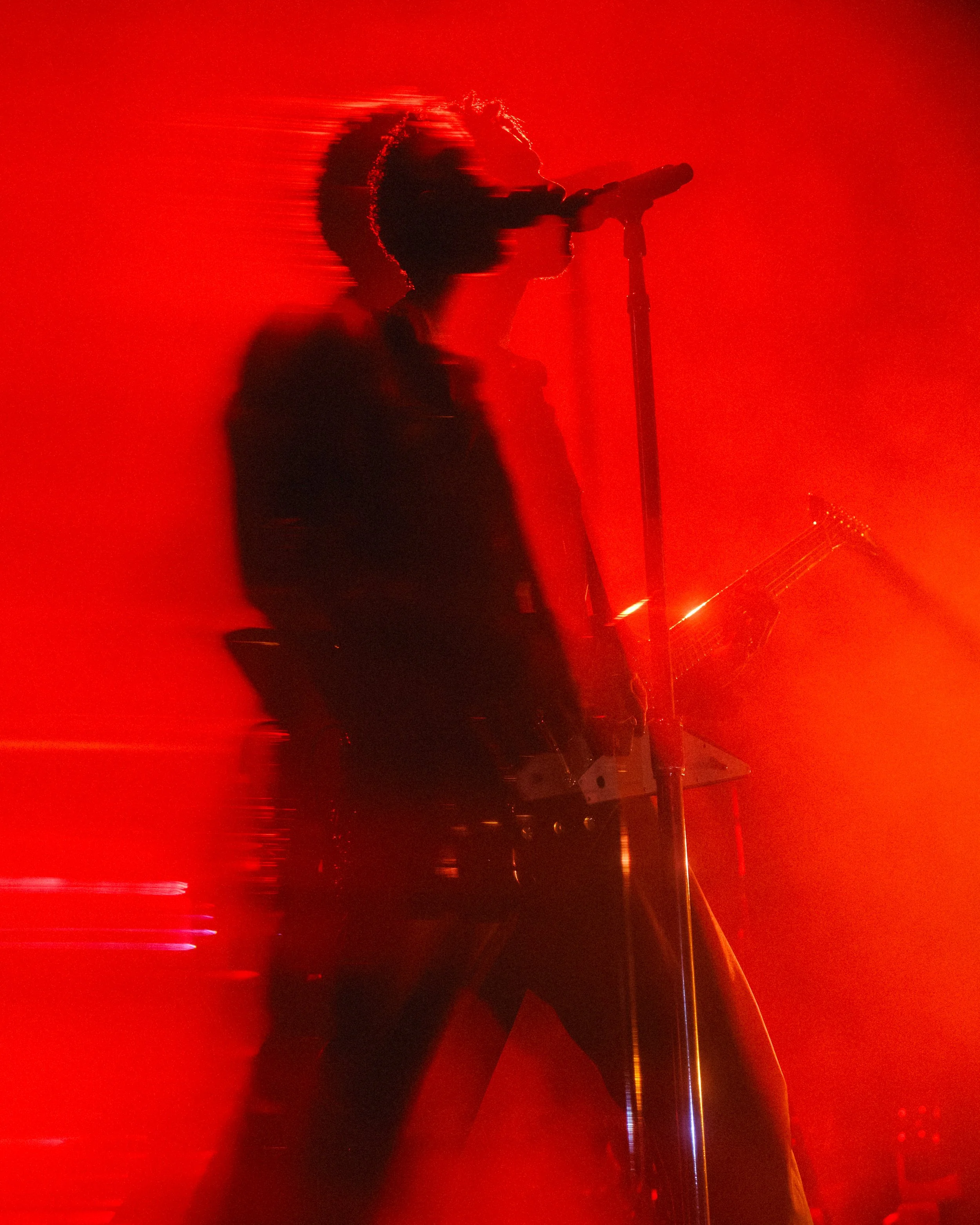 4F5A6465.jpg