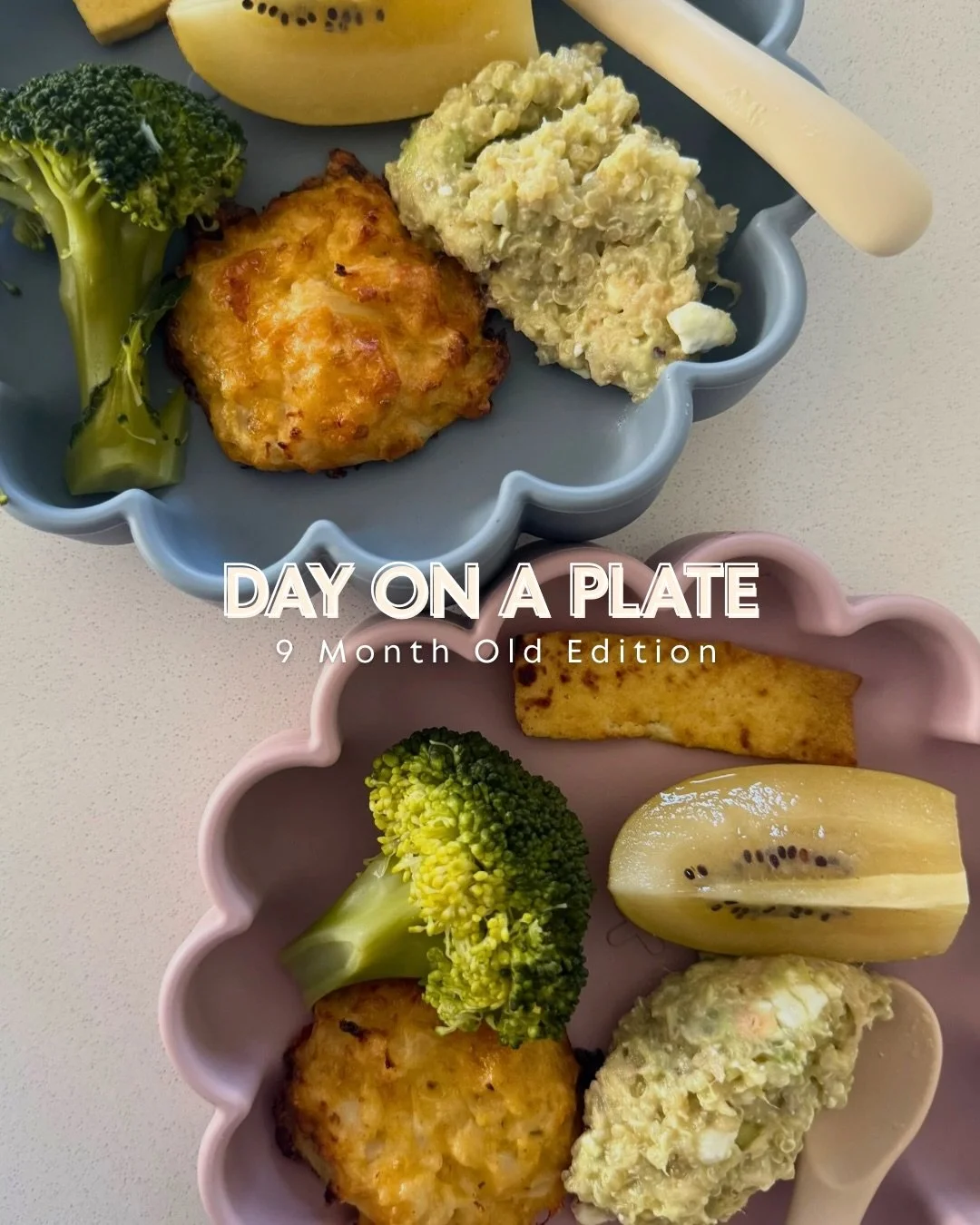 Around 8-9 months, babies start eating a wider range of solids, and their nutritional needs begin to shift slightly. 🥑🍌

Milk is still super important, but solids are becoming a bigger part of their day. This is often the stage to start offering so