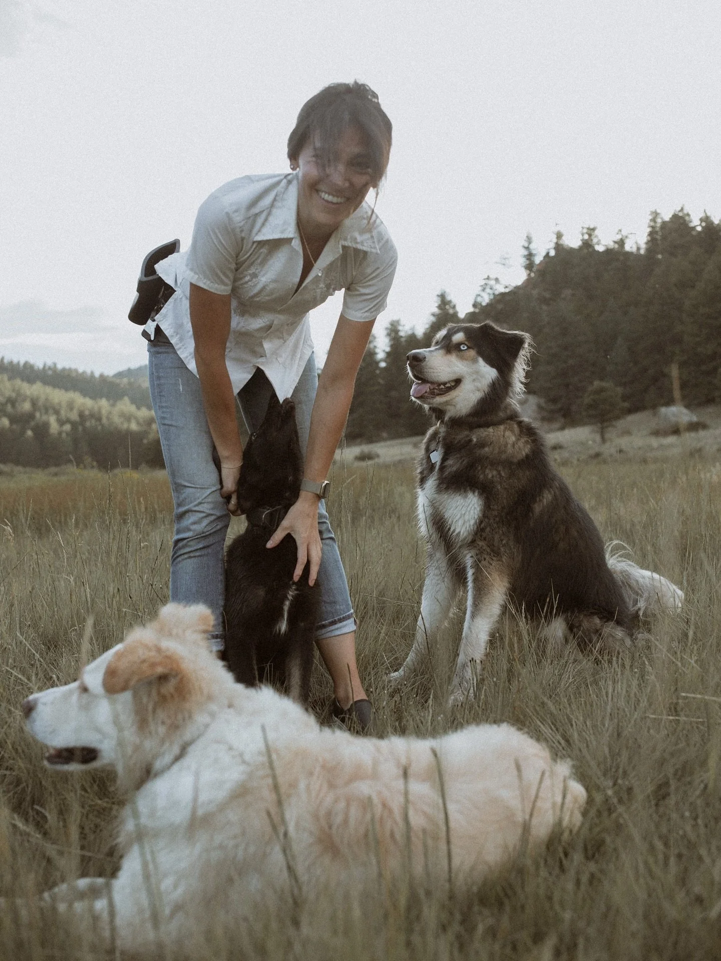 Hello, World! My name is Sasha, and this is the Rewild Pack. Rewild Pack is a holistic canine training and nutrition program specializing in behavior modification, outdoor adventure training, and sport/working dog obedience. We offer board and train,