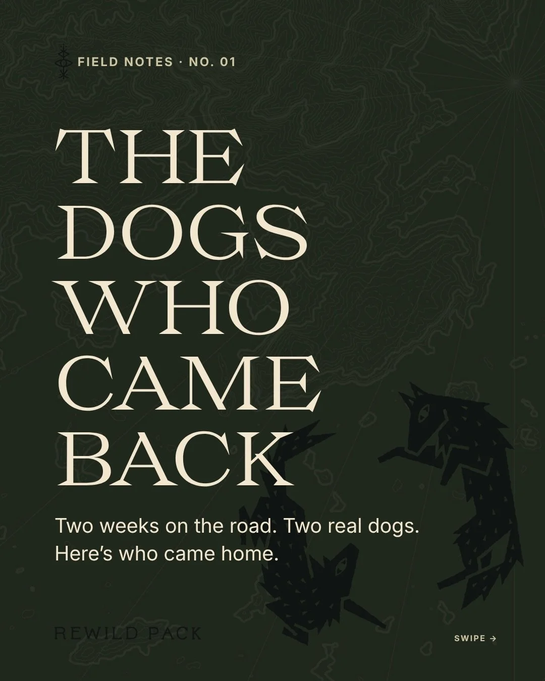Real dogs. Real adventures. Real freedom. Join the pack today. .
.
.
.
Colorado dog trainers, Denver dog training, adventure dogs, board and train, off leash adventures, e-collar training, traveling with dogs, van life with dogs