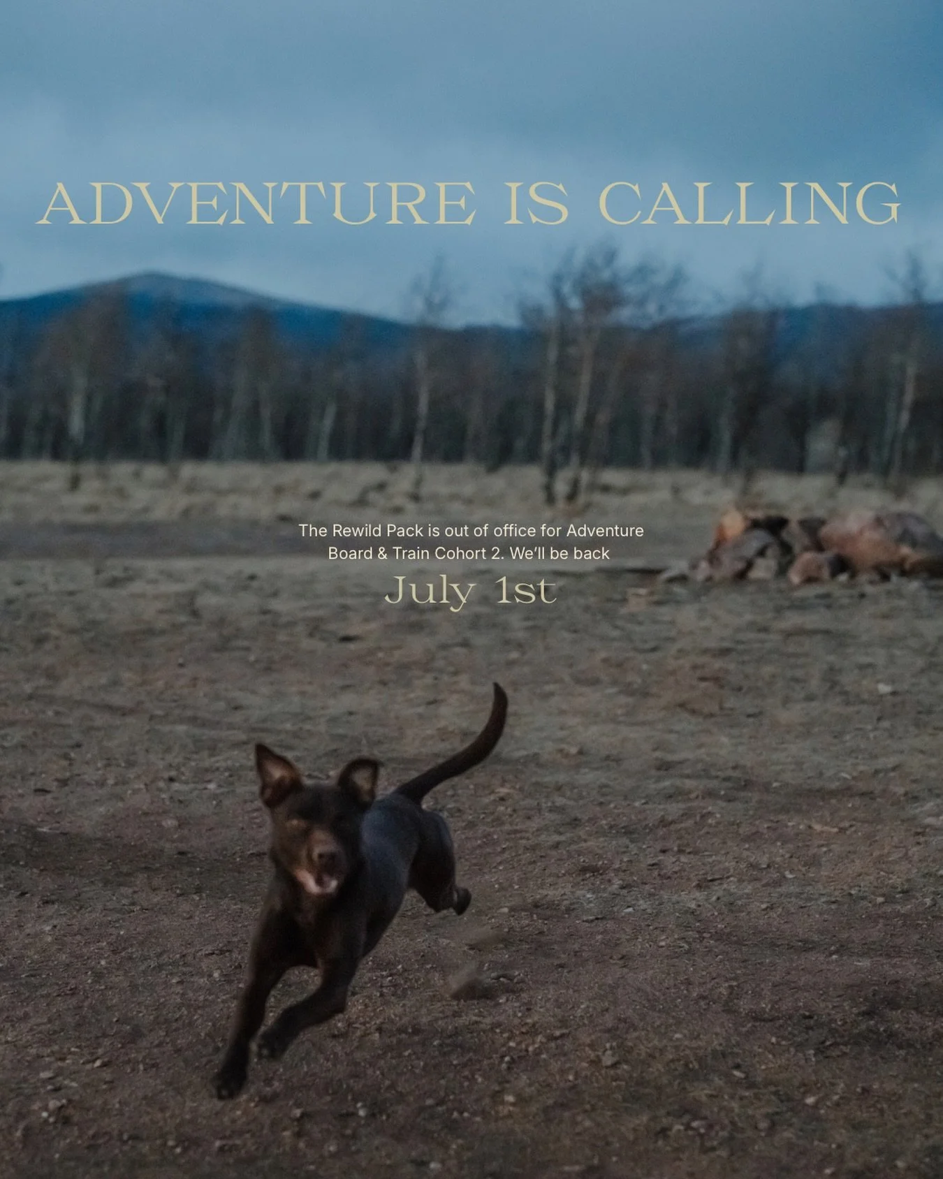 Adventure Board &amp; Train No. 2 is underway! We&rsquo;ll be back July 1st, but until then, stay tuned for updates from the road. 
.
.
.
Colorado dog trainers, Denver dog training, adventure dogs, board and train, off leash adventures, e-collar trai