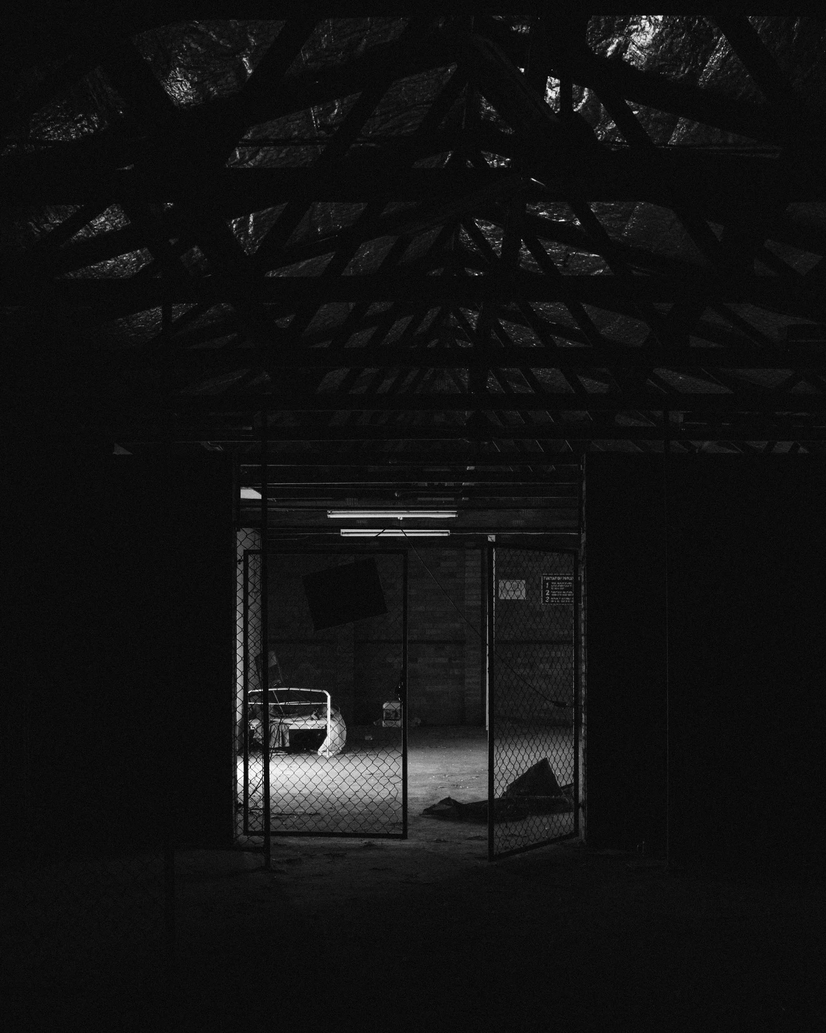 Another Trip to the Armidale Greyhound Track