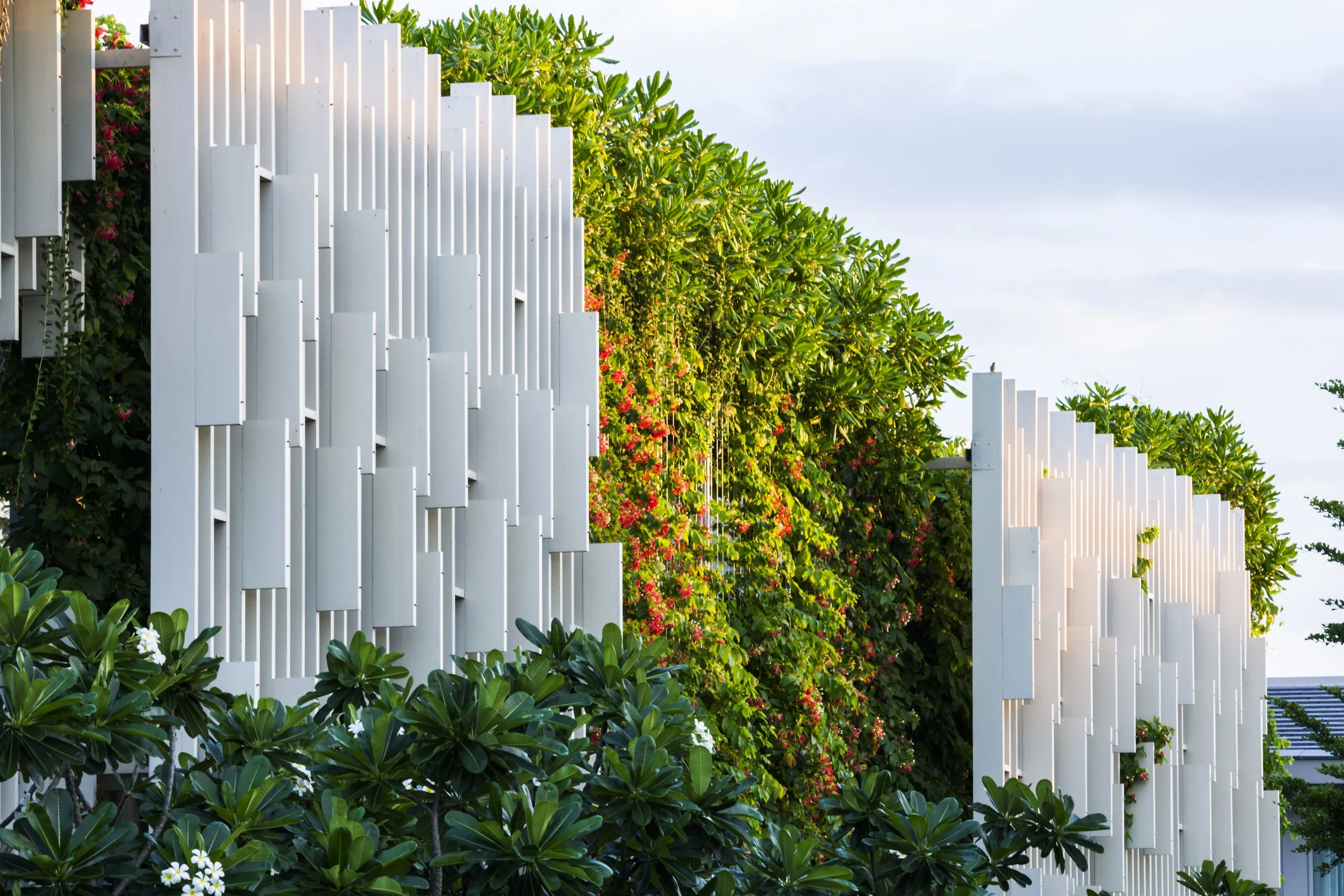 MIA Design Studio - Contemporary & Sustainable Architecture Design Firm