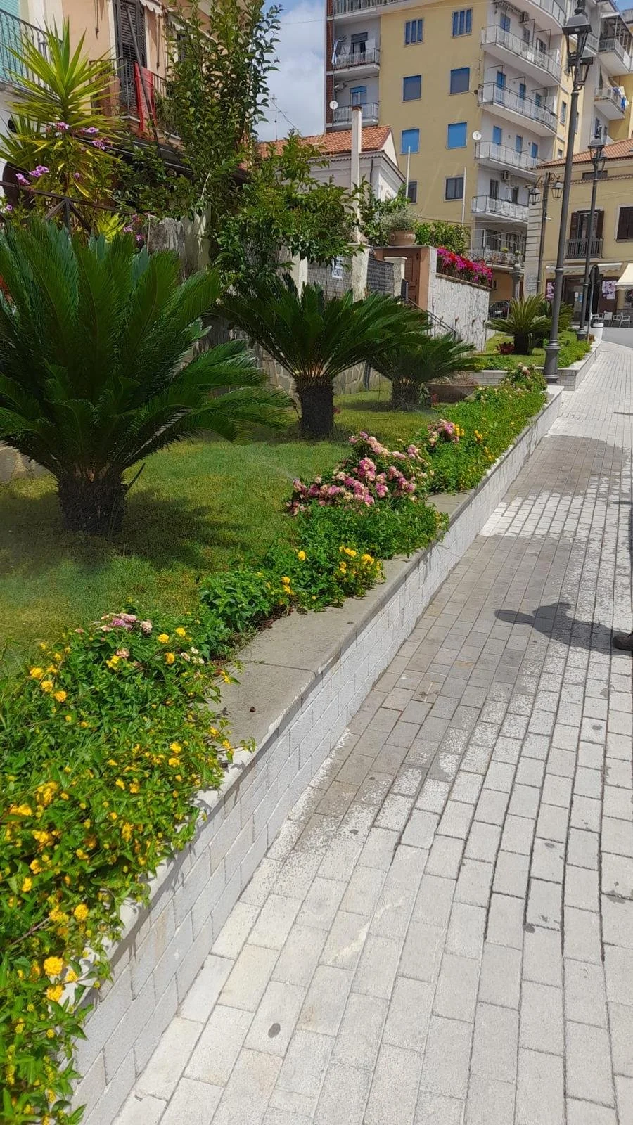 WhatsApp Image 2024-08-12 at 17.31.59.jpeg