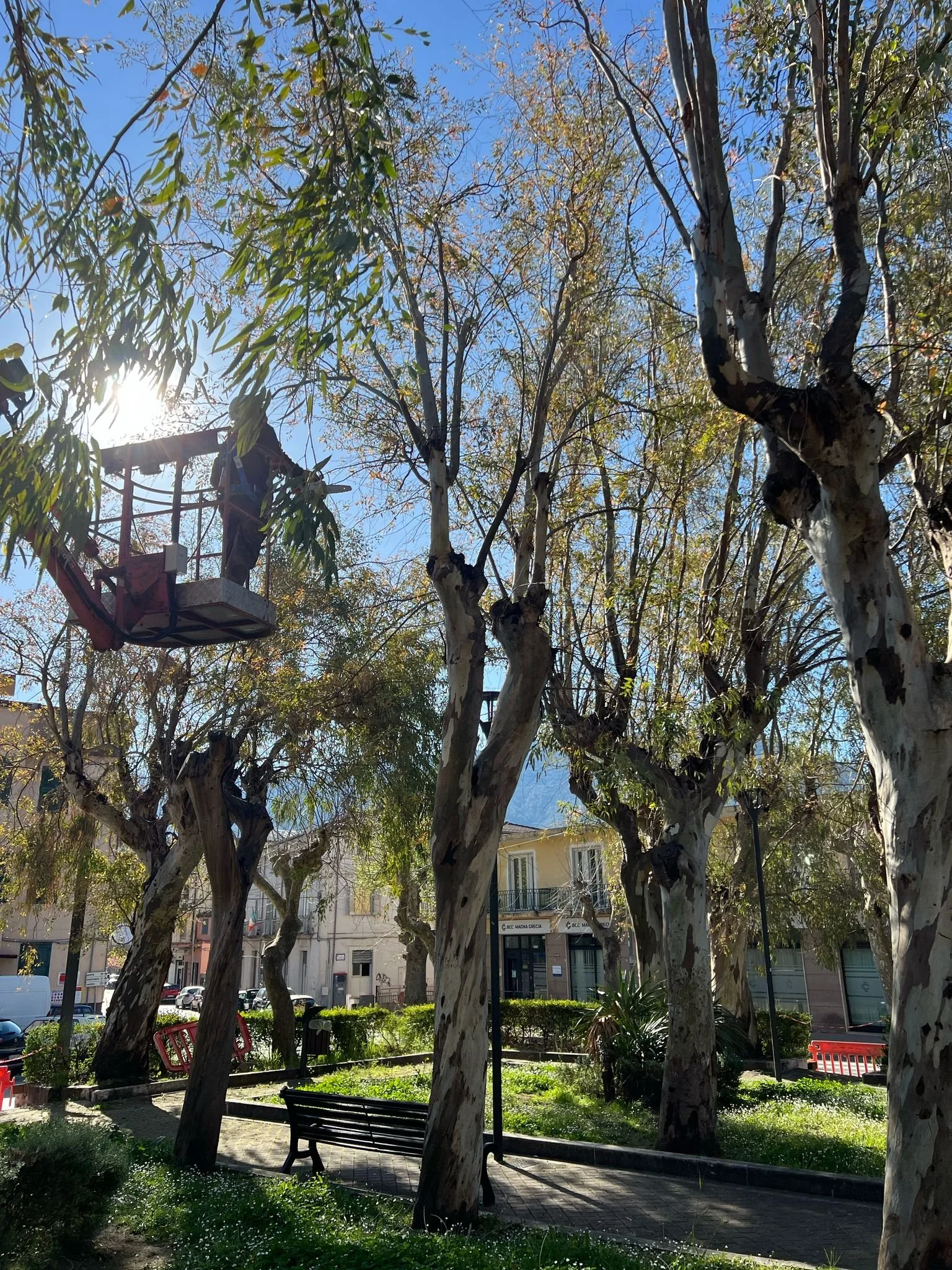 WhatsApp Image 2025-03-21 at 10.41.16.jpeg