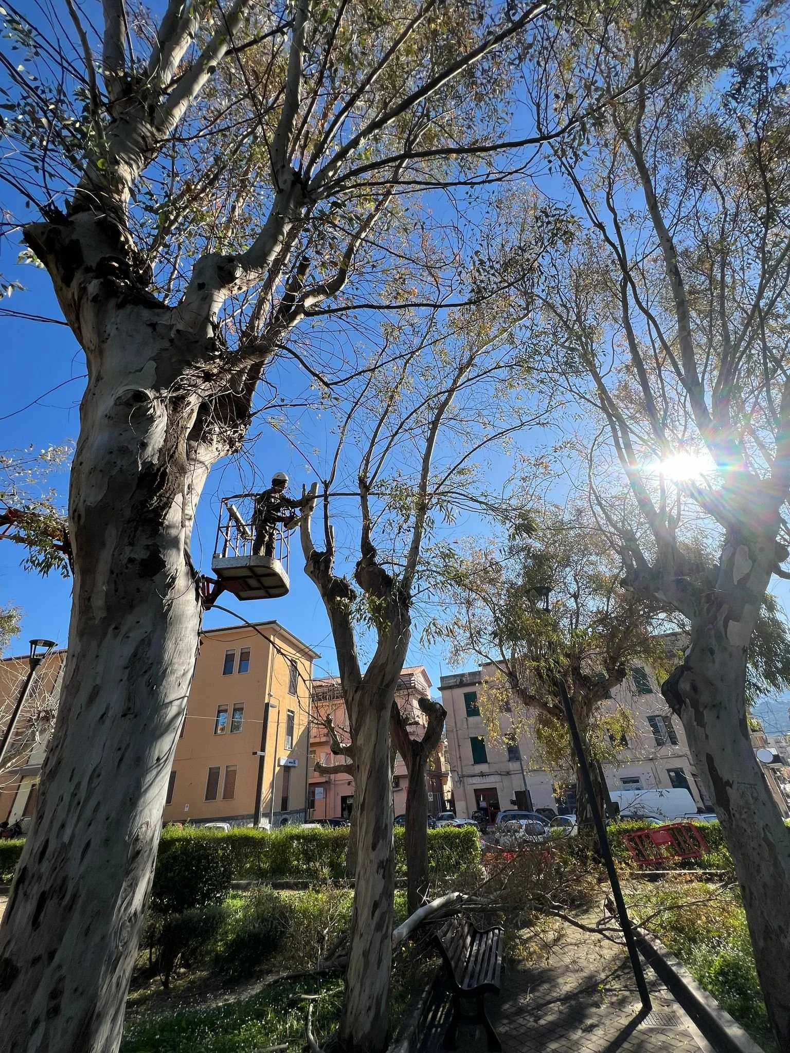 WhatsApp Image 2025-03-21 at 10.41.16 (1).jpeg