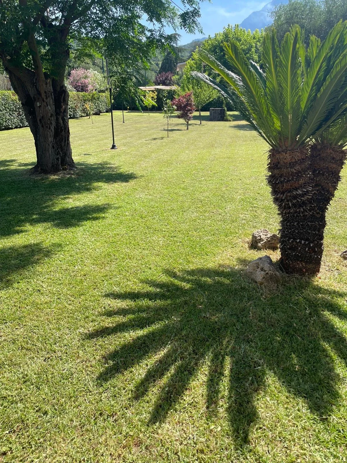 WhatsApp Image 2024-08-12 at 17.33.22 (1).jpeg