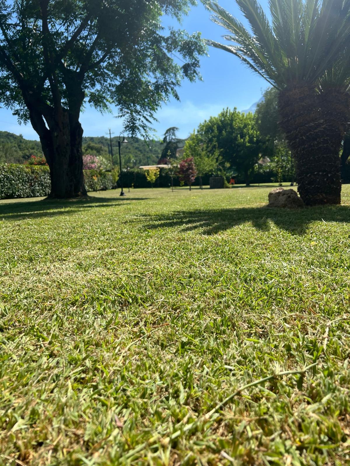 WhatsApp Image 2024-08-12 at 17.32.00.jpeg