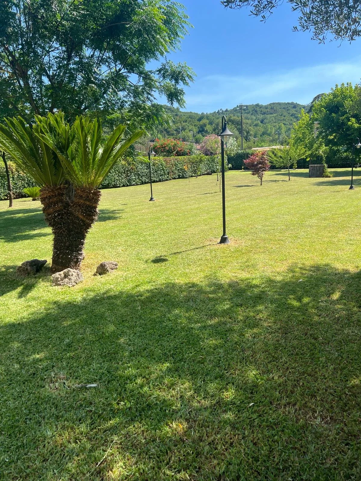 WhatsApp Image 2024-08-12 at 17.31.59 (1).jpeg