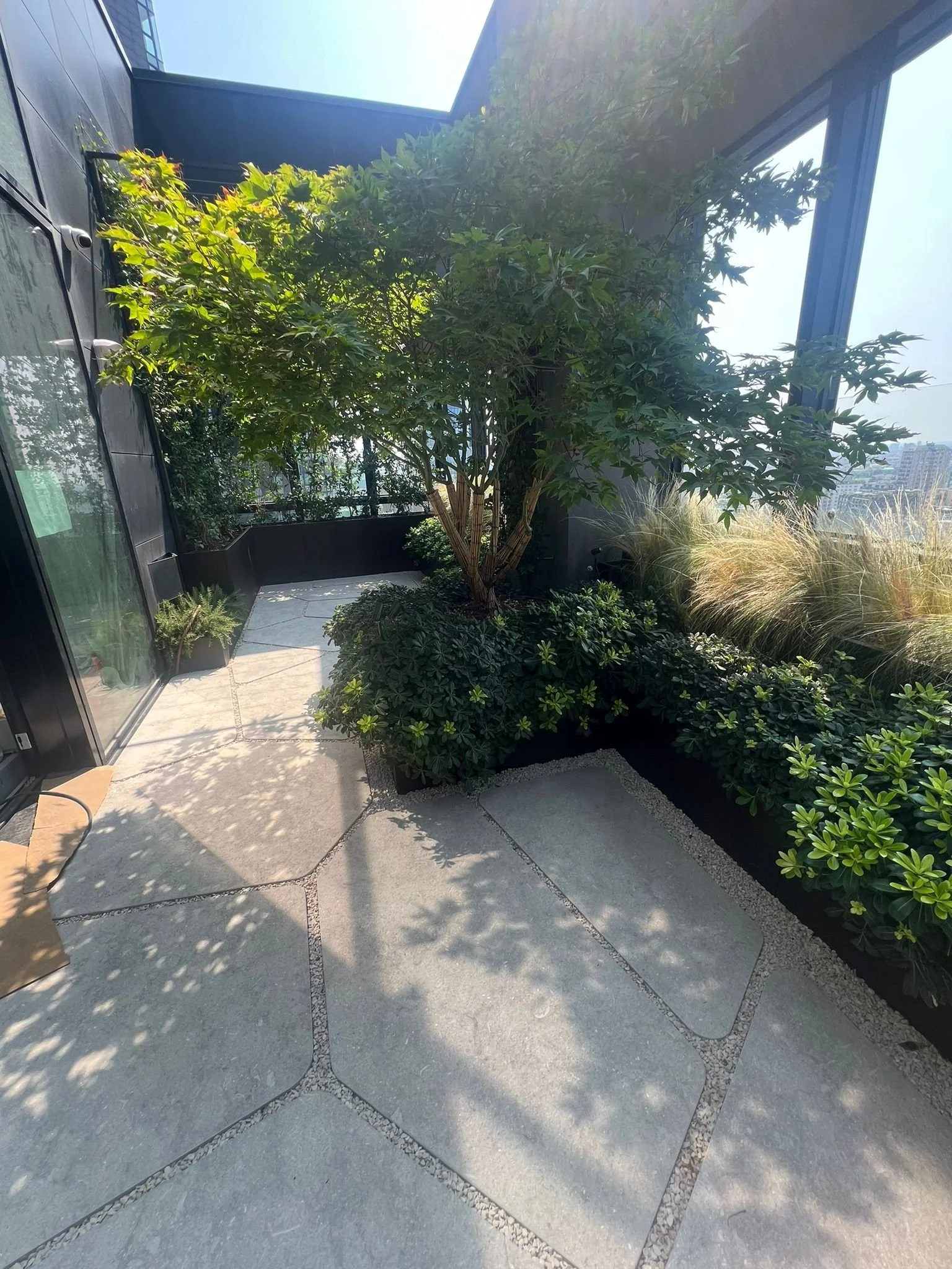 WhatsApp Image 2024-08-12 at 17.32.31.jpeg