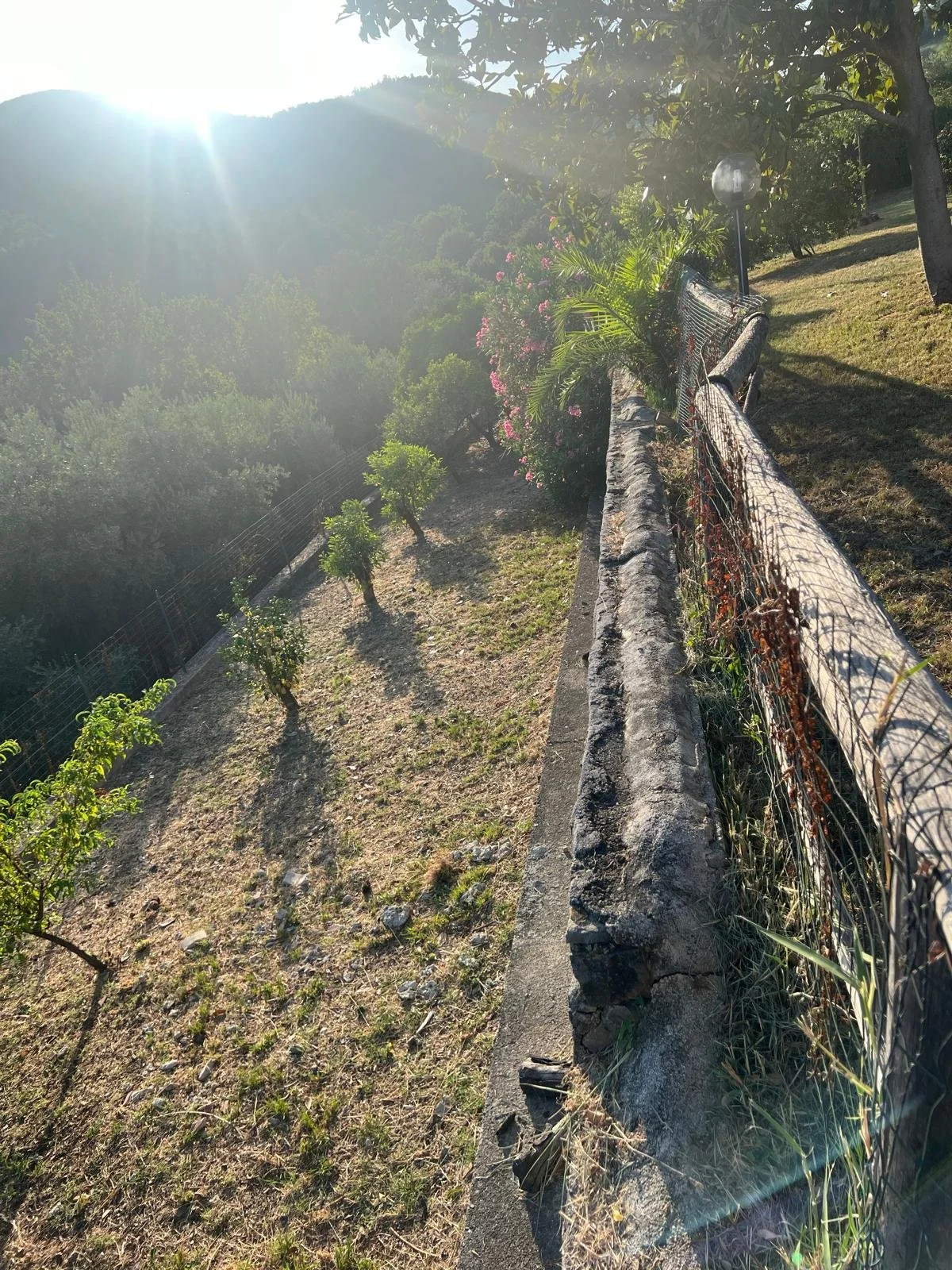 WhatsApp Image 2024-08-12 at 17.32.00 (3).jpeg