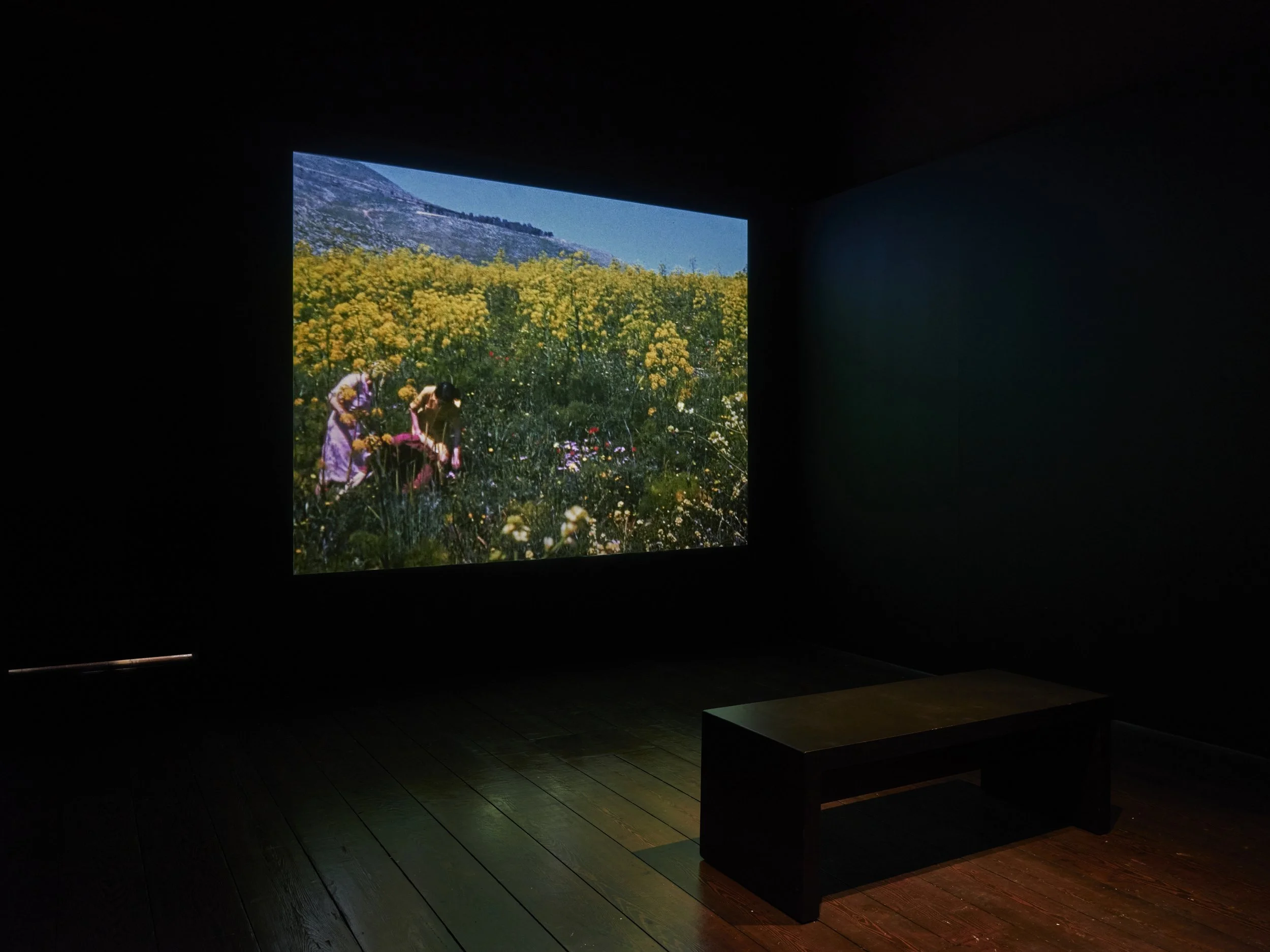 Installation view at SOIL Exhibition Somerset House (January-April 2025)