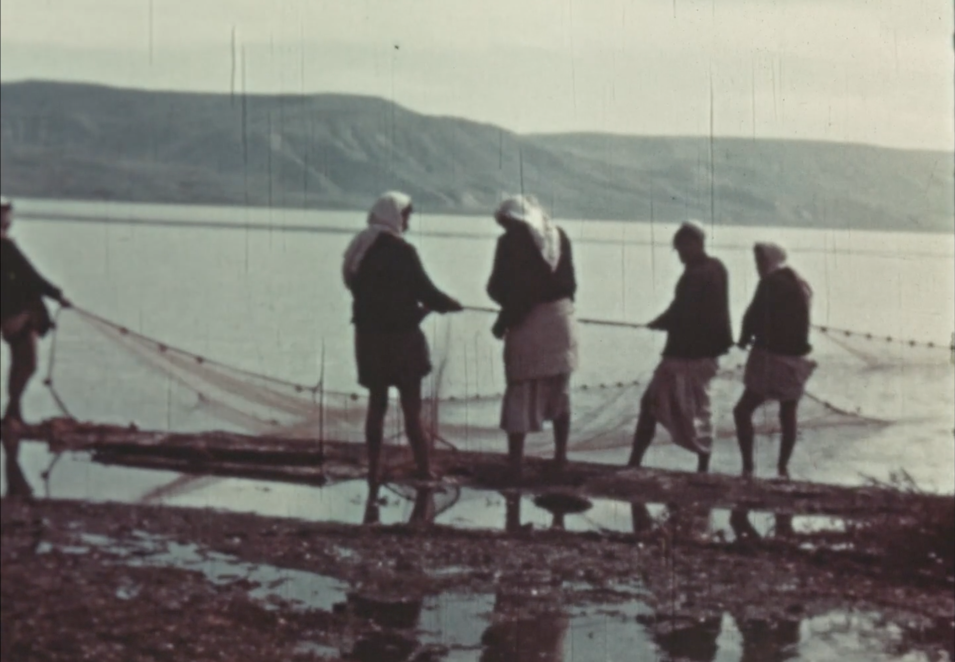 Screenshot 2024-03-01 at 2.20.25 PM copy.png