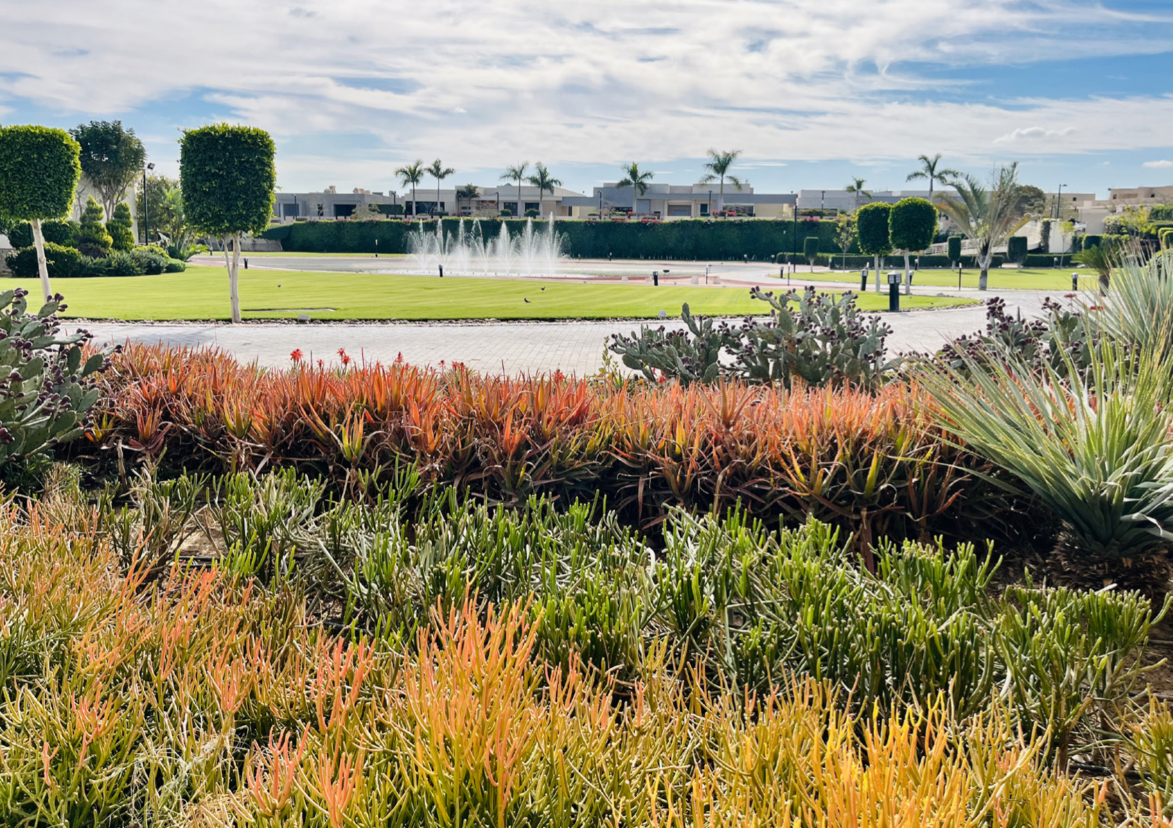 Capture d’écran 2024-08-07 à 20.58.55.png