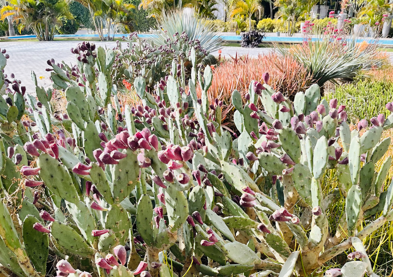 Capture d’écran 2024-08-07 à 20.59.09.png