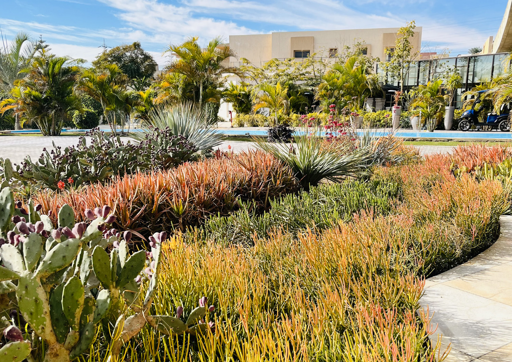 Capture d’écran 2024-08-07 à 20.58.48.png