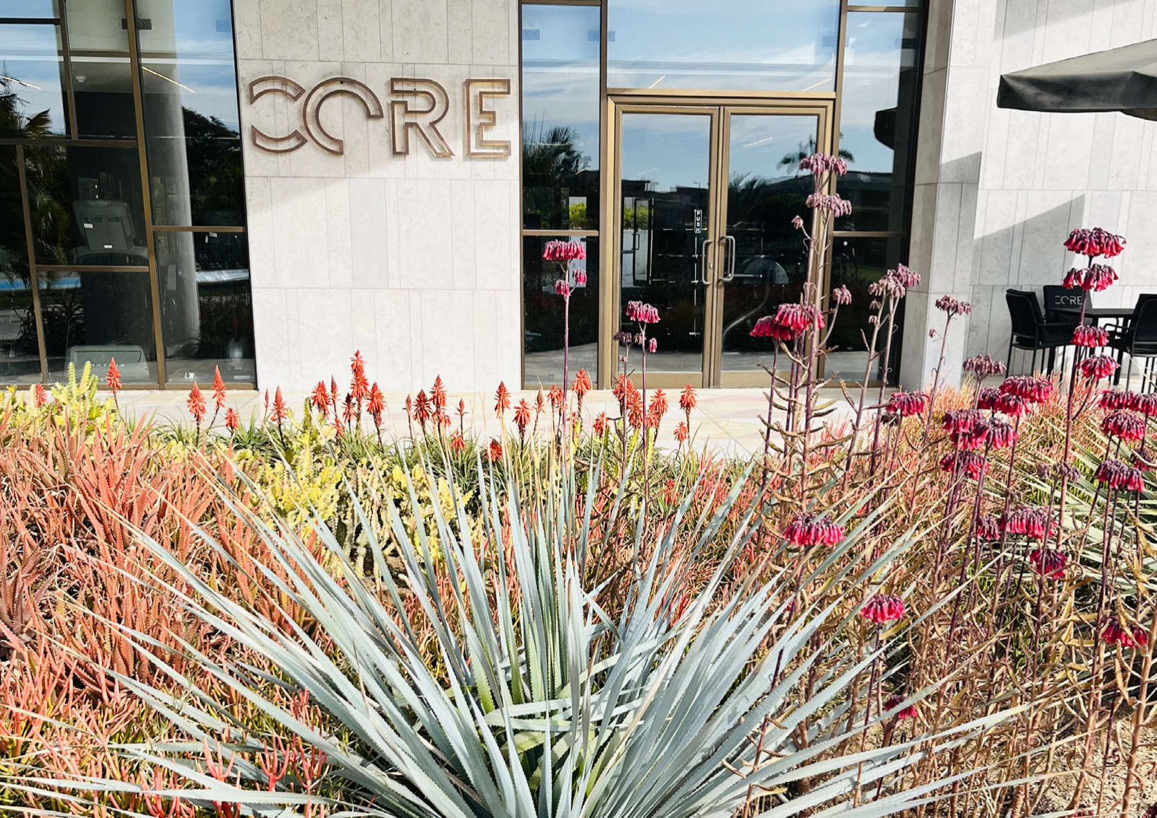 Capture d’écran 2024-08-07 à 20.59.02.png