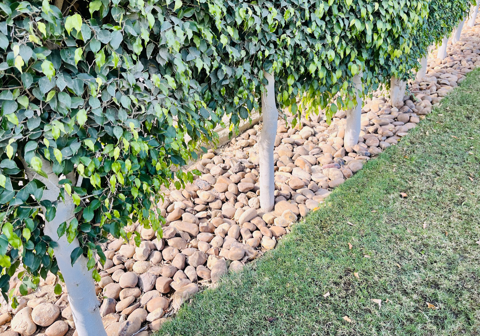 Capture d’écran 2024-08-07 à 20.58.41.png