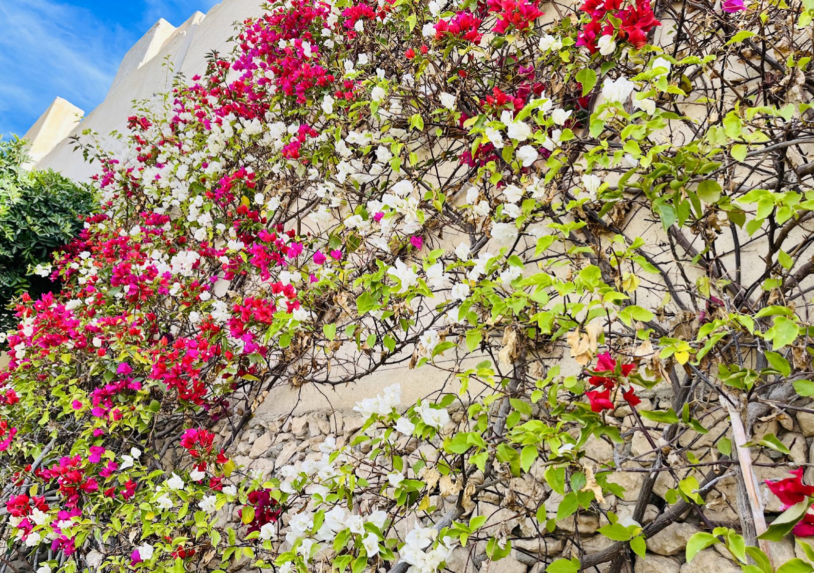 Capture d’écran 2024-08-07 à 20.58.35.png