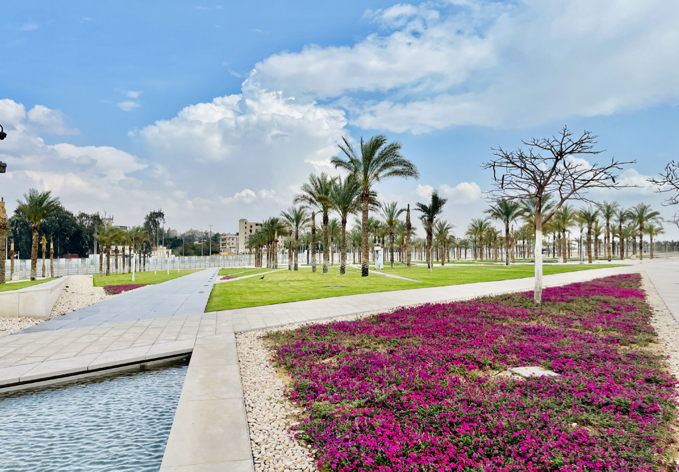 Capture d’écran 2024-08-07 à 17.16.23.png