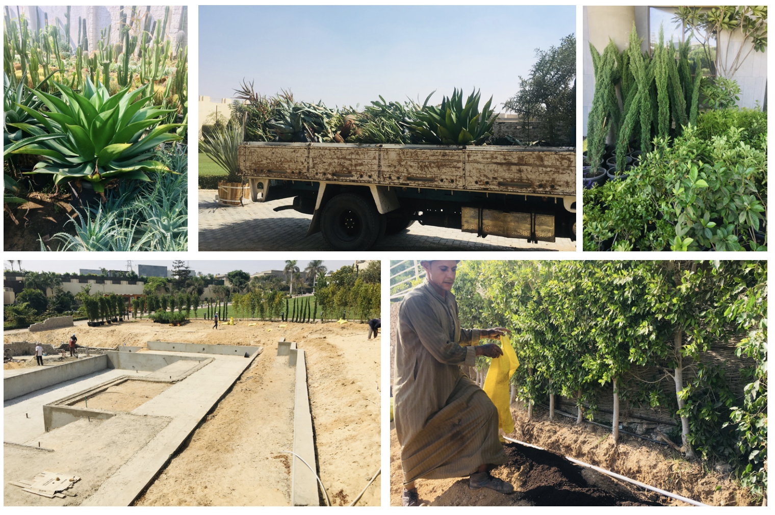 Capture d’écran 2024-08-07 à 20.57.44.png