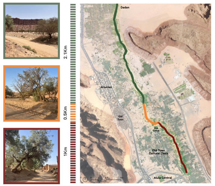 Capture d’écran 2024-08-07 à 21.47.11.png