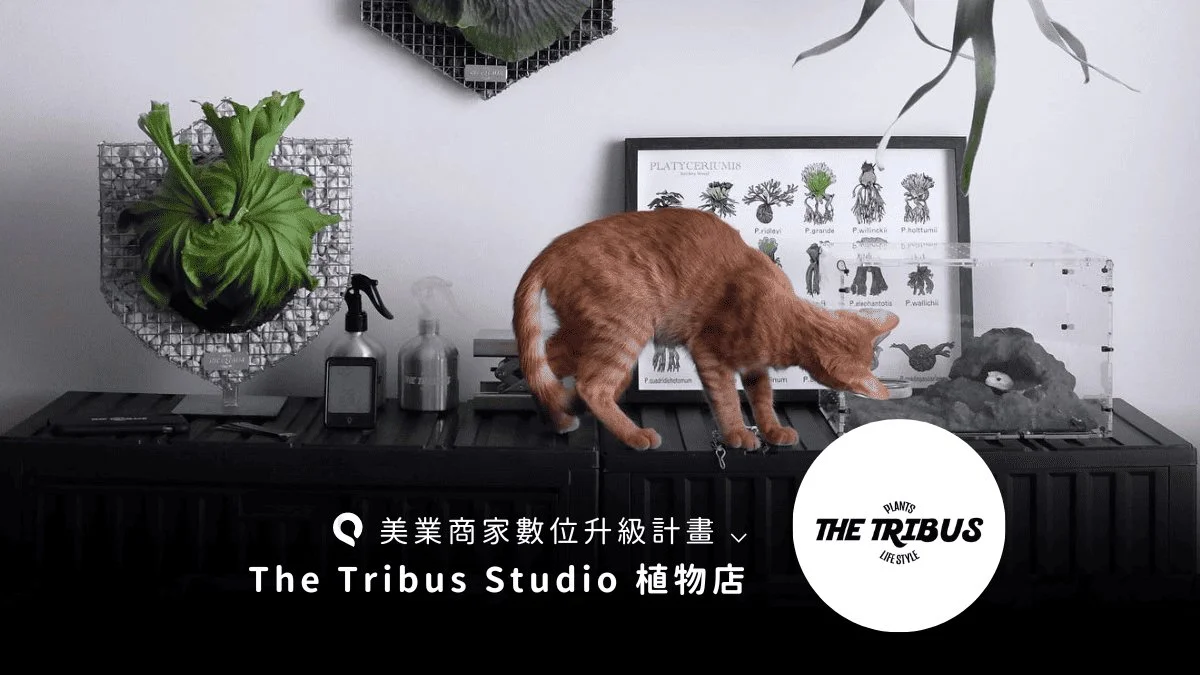 桃園預約制植栽店，立即預訂一場與植物的溫室約會時光！