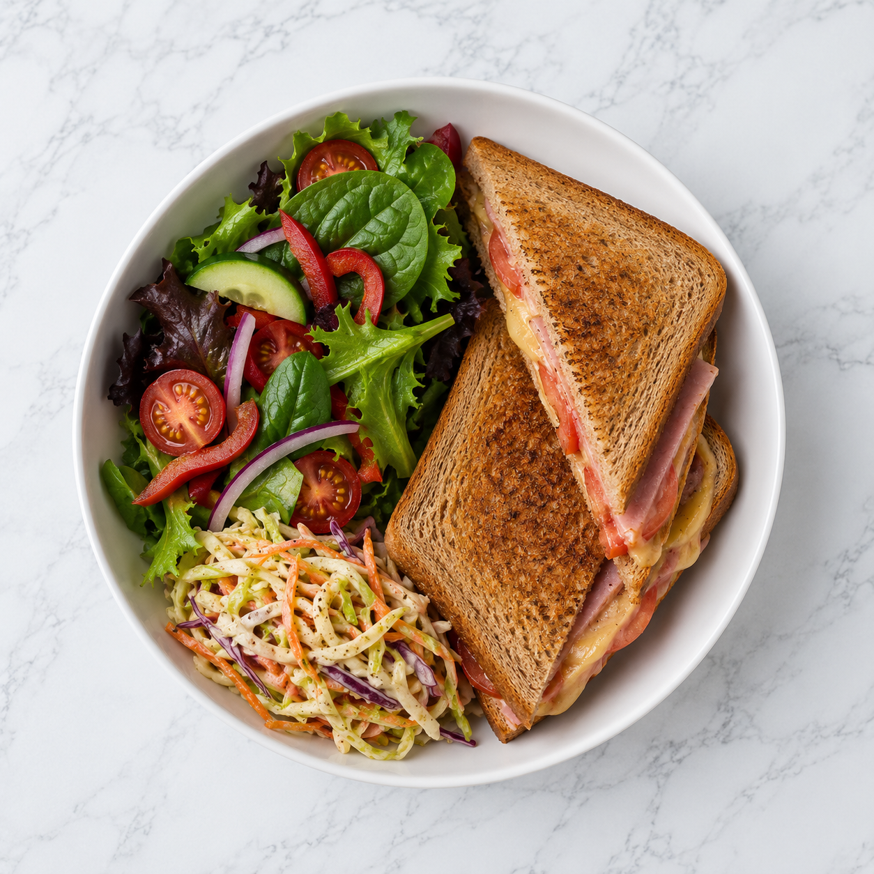 Toasted Sandwich and Salad (HC)